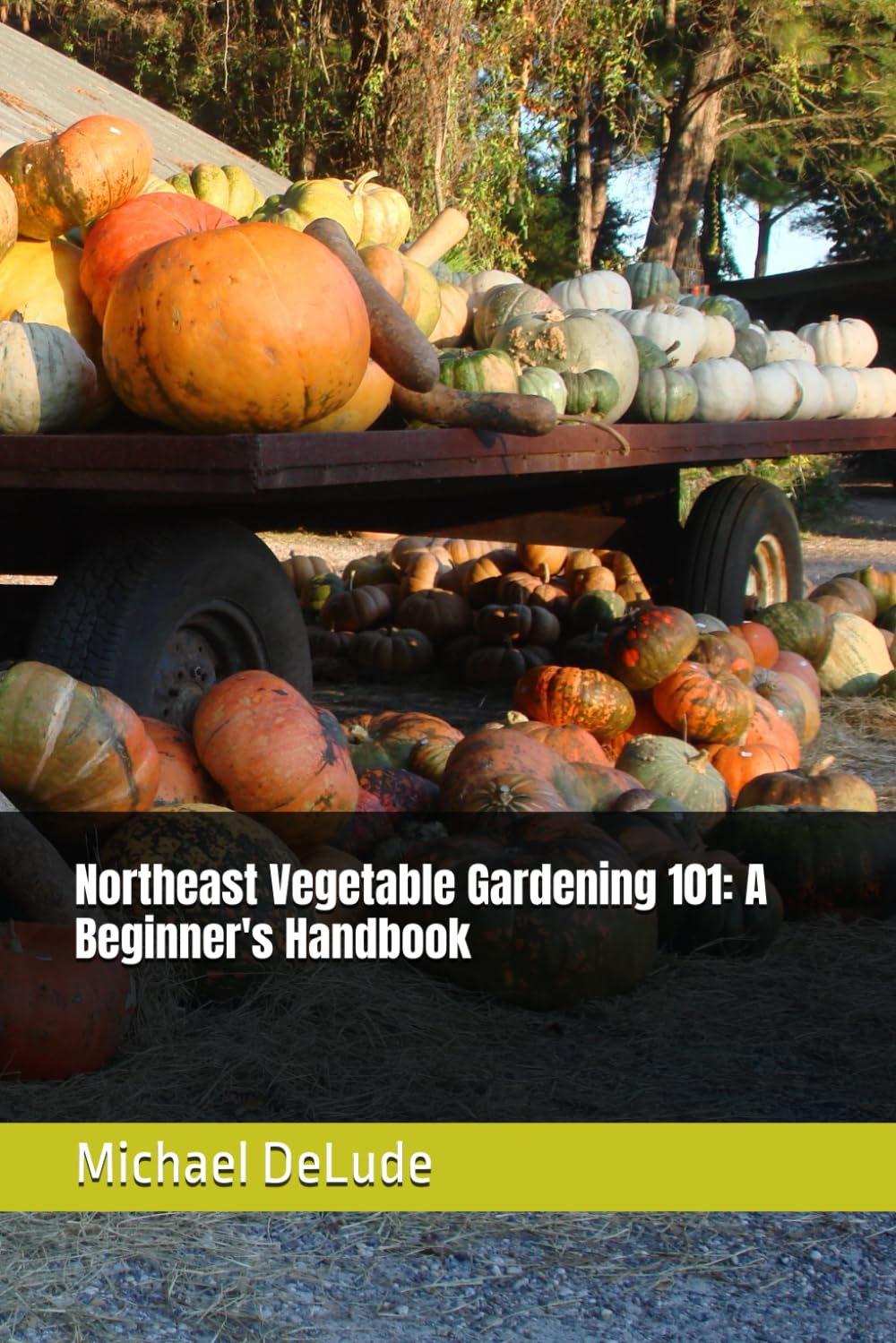 ler totalmente Northeast Vegetable Gardening 101: A Beginner's Handbook