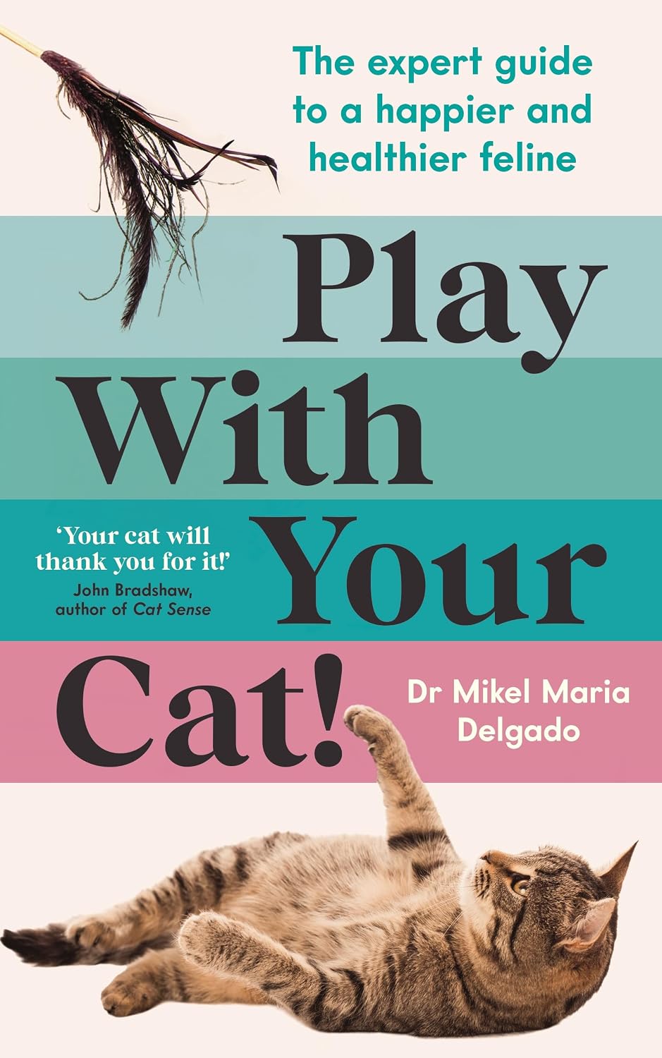 Play With Your Cat!: The expert guide to a happier and healthier feline (English Edition) baixar livro de graça