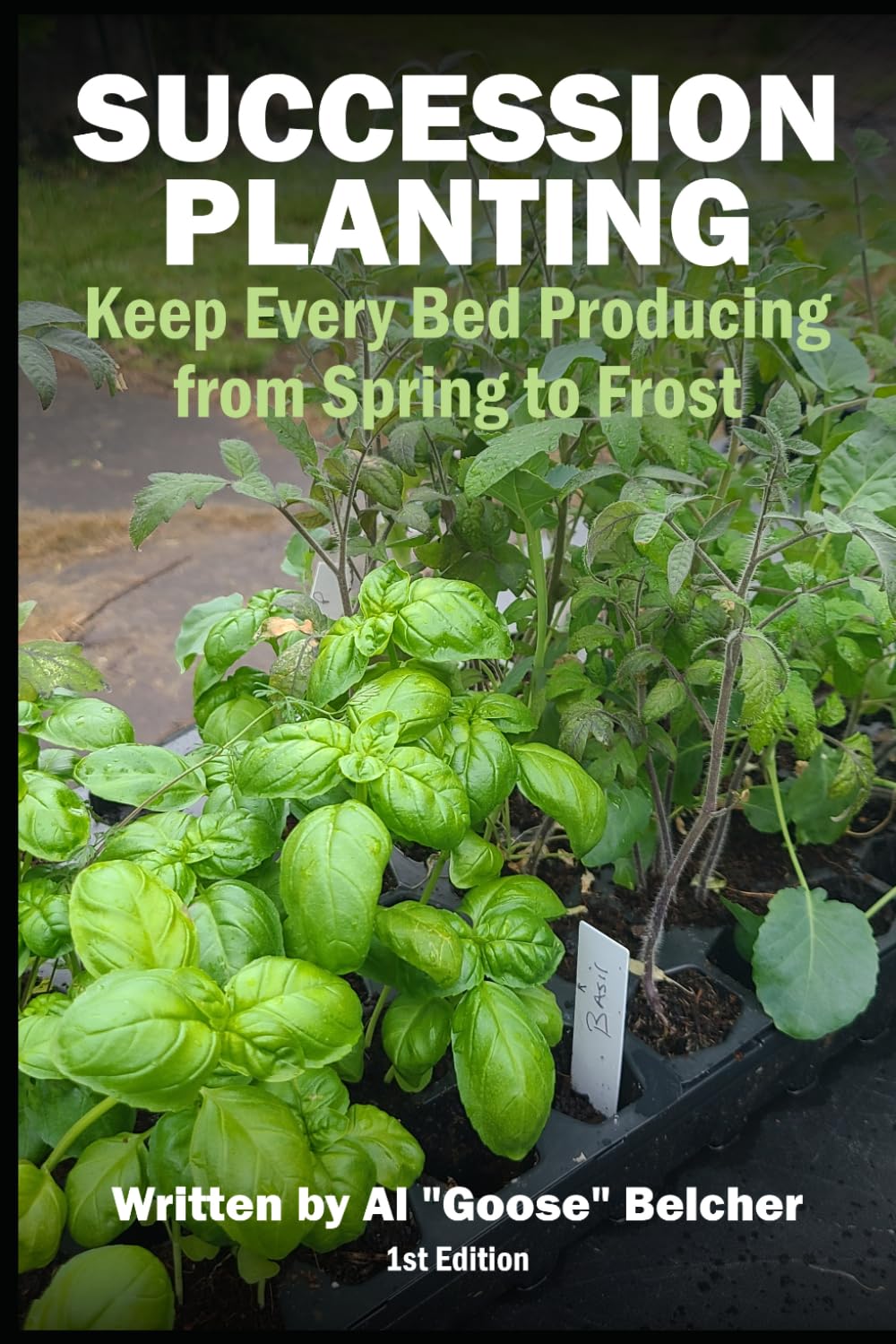 Succession Planting: Keep Every Bed Producing from Spring to Frost (The Evidence-Based Garden) baixar livro de graça