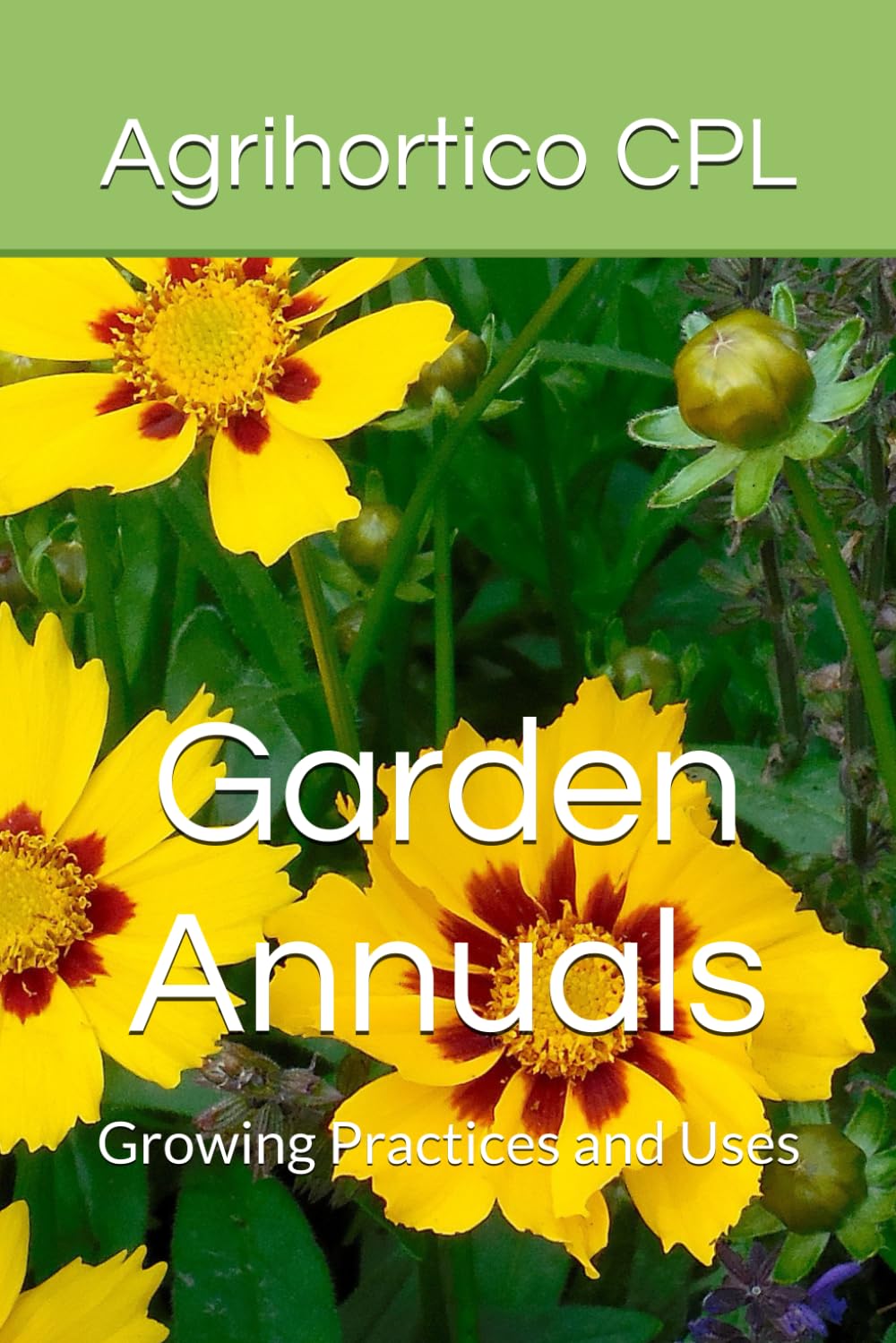 Garden Annuals: Growing Practices and Uses: 6 baixar livro de graça