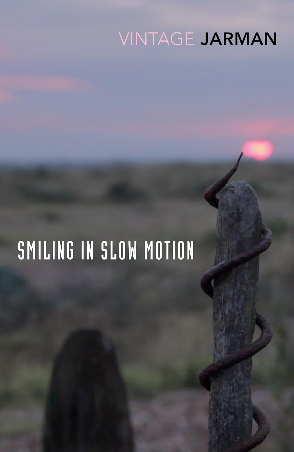 Smiling in Slow Motion: Journals, 1991–1994 baixar o livro de graça