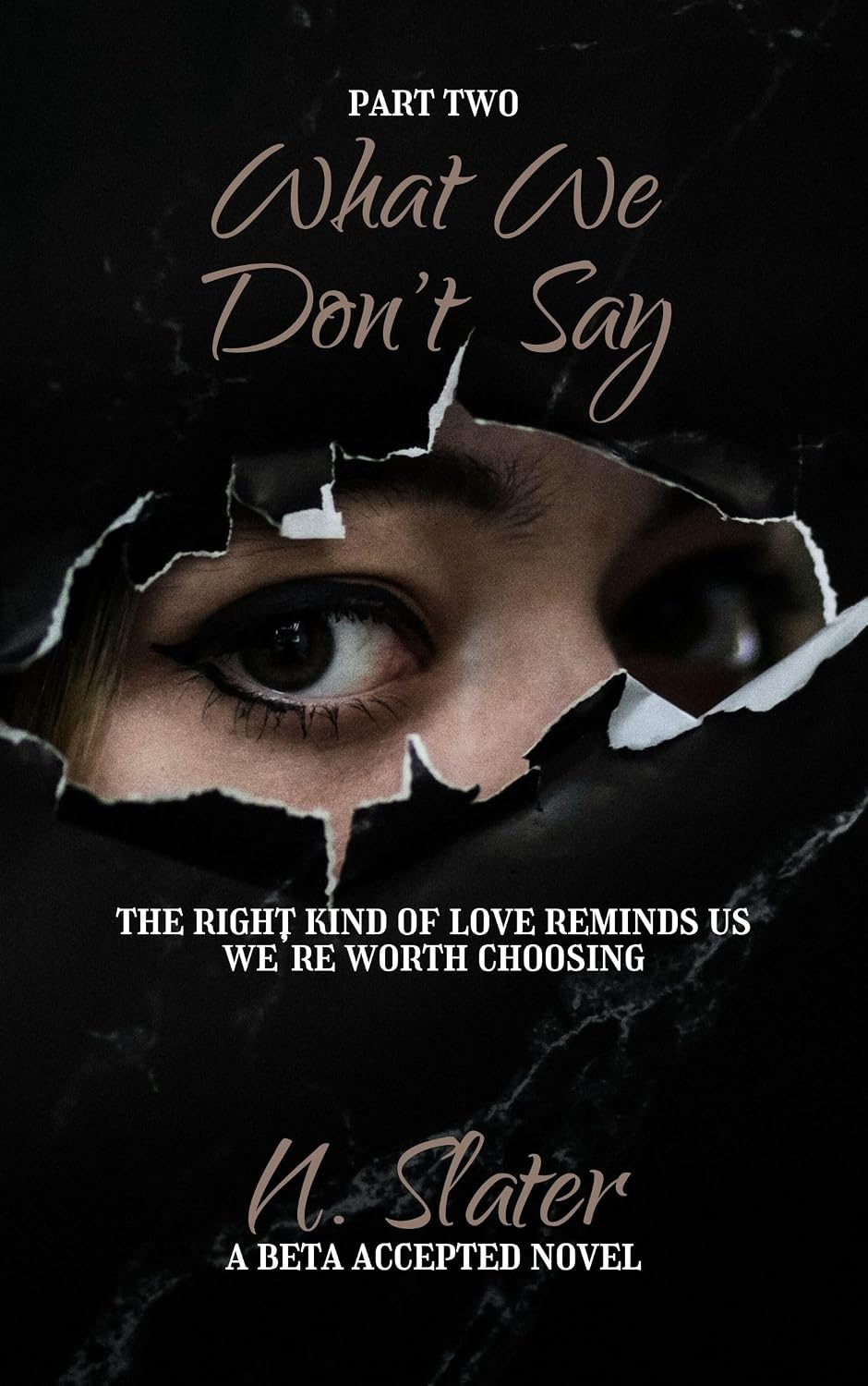 What We Don't Say - Part Two: An MMMFM Betaverse Novel (Beta Accepted) (English Edition) baixar livro de graça
