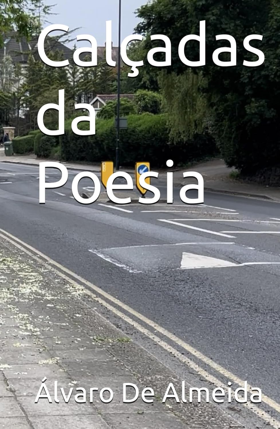 capítulo por capítulo baixar Calçadas da Poesia (Portuguese Edition)