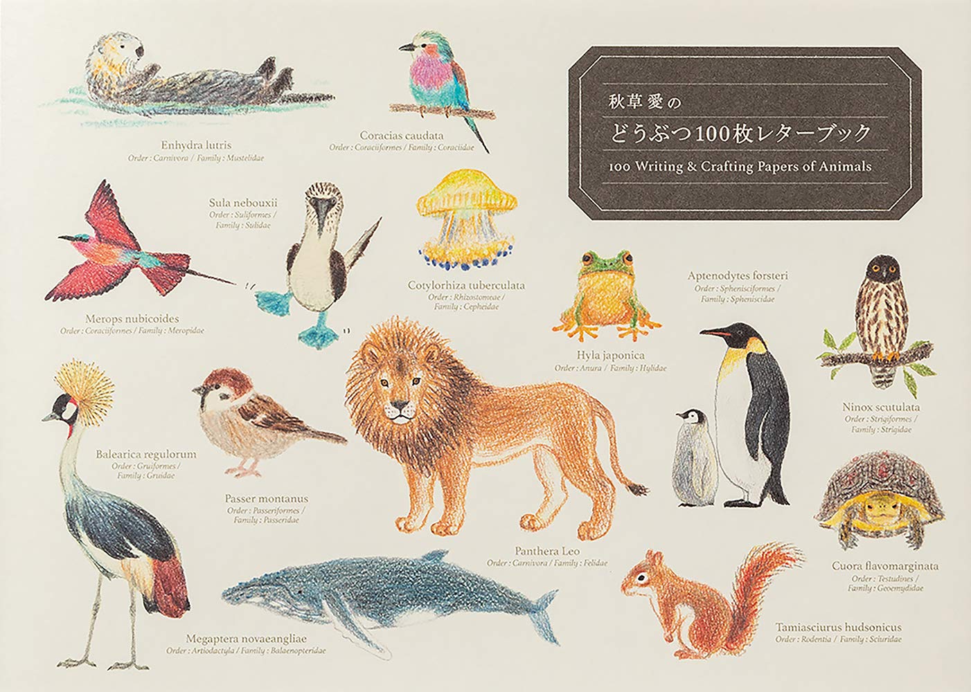 100 Writing & Crafting Papers of Animals: Book with 2 Stories and Gilbert Plush Toy baixar livro de graça