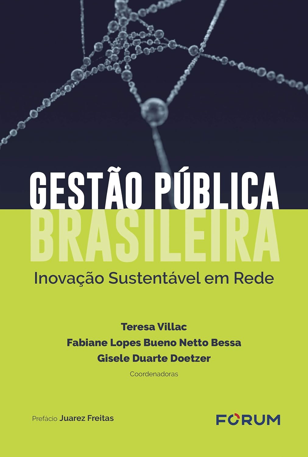 Gestão pública brasileira: inovação sustentável em rede baixar livro de graça
