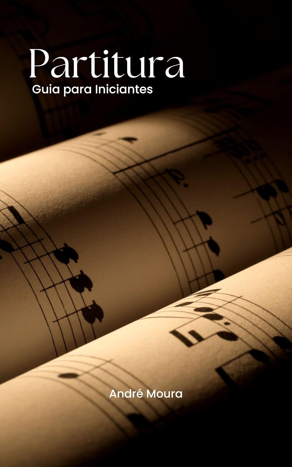 Partitura: Guia para Iniciantes baixar o livro de graça