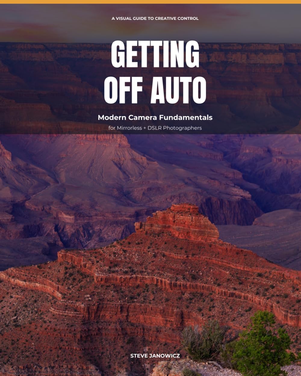 ler totalmente Getting Off Auto: Modern Camera Fundamentals for Mirrorless and DSLR Photographers
