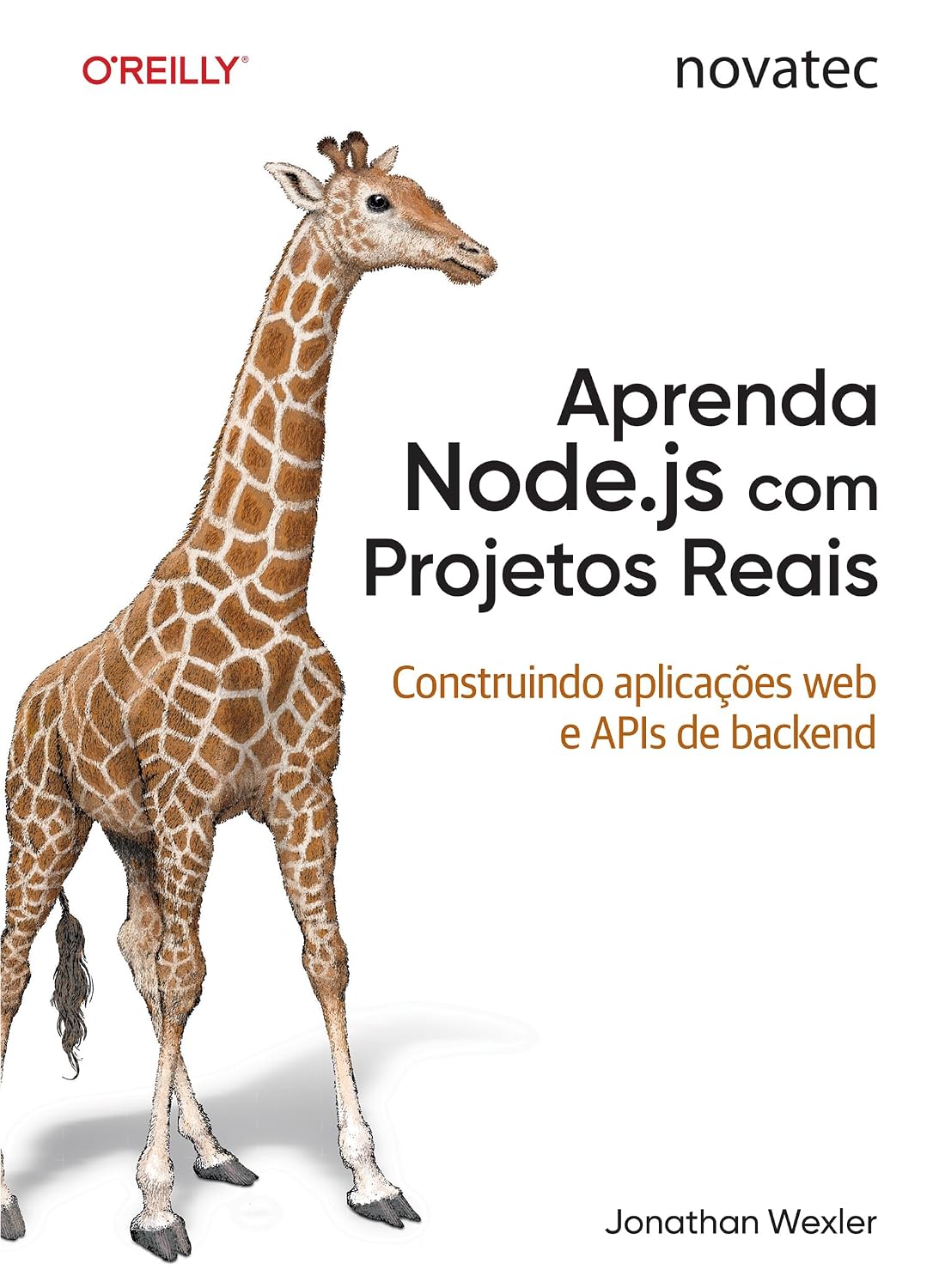 ler totalmente Aprenda Node.js com Projetos Reais: Construindo aplicações web e APIs de backend