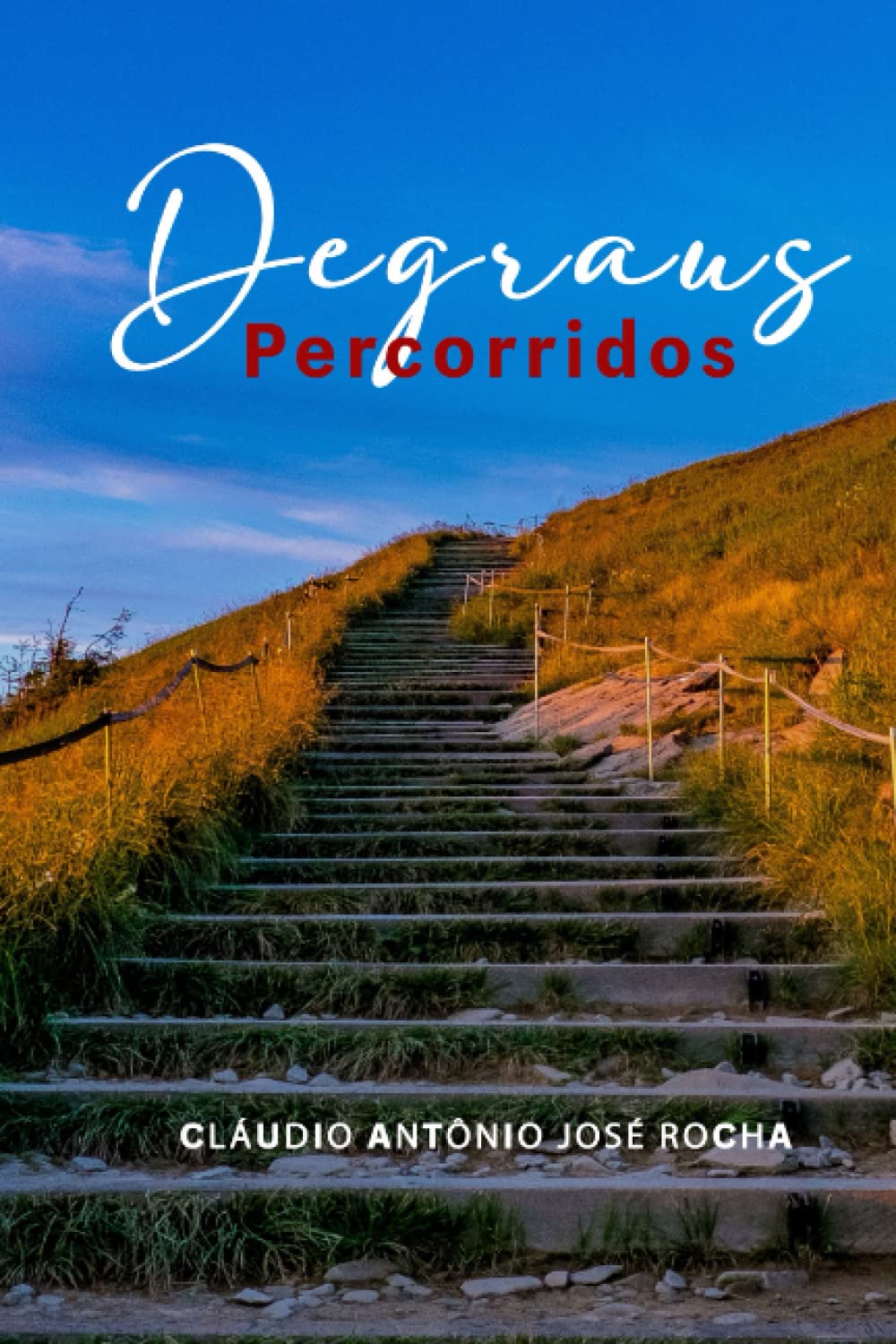 DEGRAUS PERCORRIDOS (Portuguese Edition) baixar livro de graça