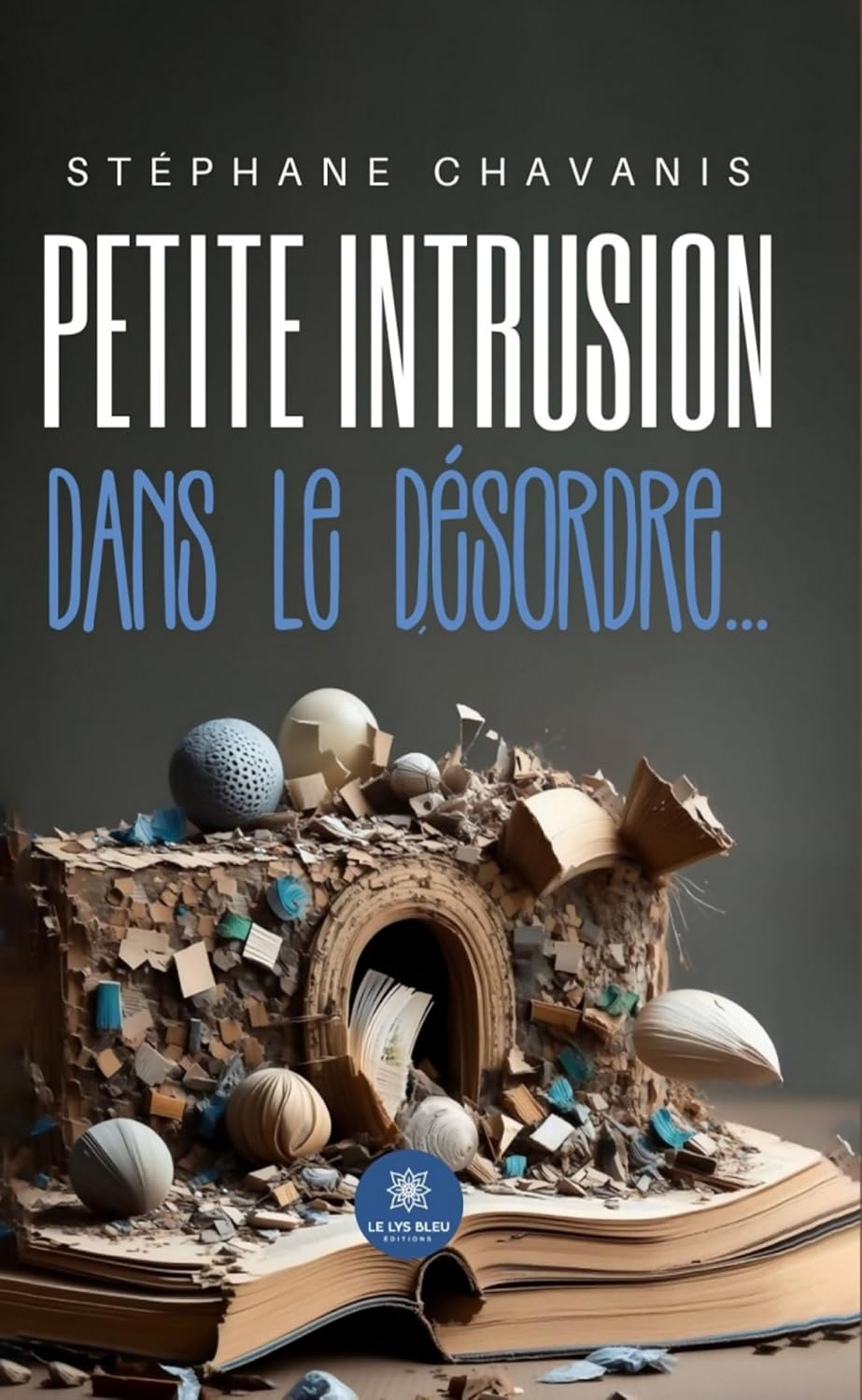 ler totalmente Petite intrusion dans le désordre… (French Edition)