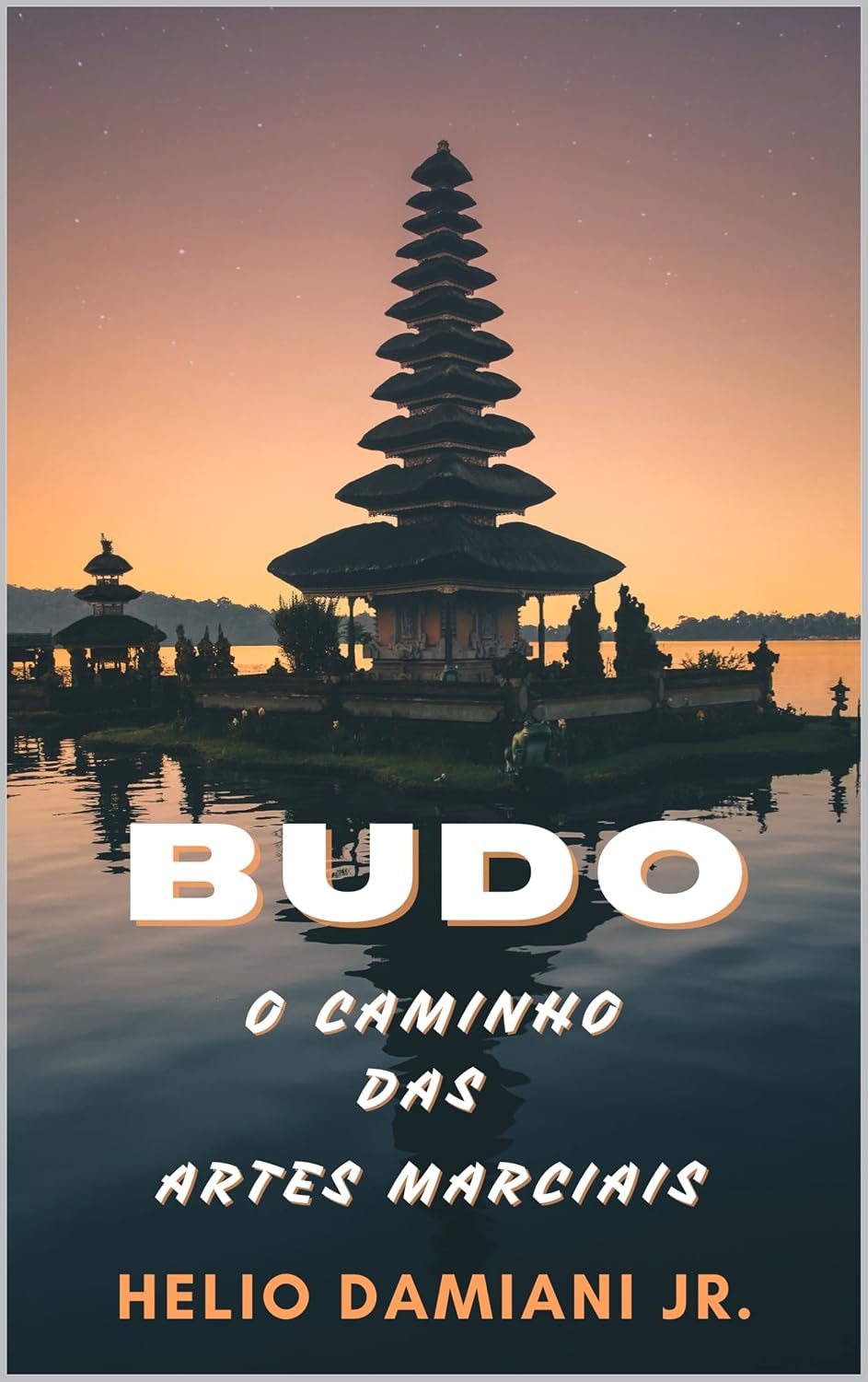 capítulo por capítulo baixar Budo o caminho das artes marciais: Helio Damiani Jr