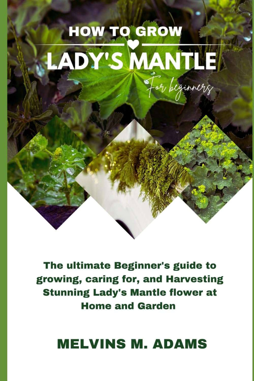 ler totalmente How to grow Lady's Mantle flower for beginners: The Ultimate Beginner's Guide to Growing, Caring for, and Harvesting Lady's Mantle flower at Home and garden