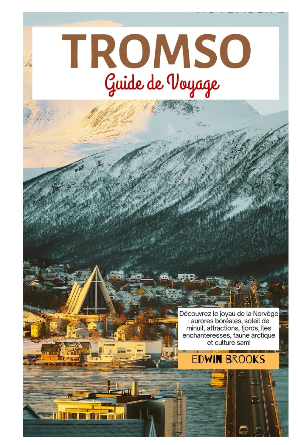 Tromso Guide de Voyage: Découvrez le joyau de la Norvège: aurores boréales, soleil de minuit, attractions, fjords, îles enchanteresses, faune arctique et culture sami (French Edition) baixar o livro de graça