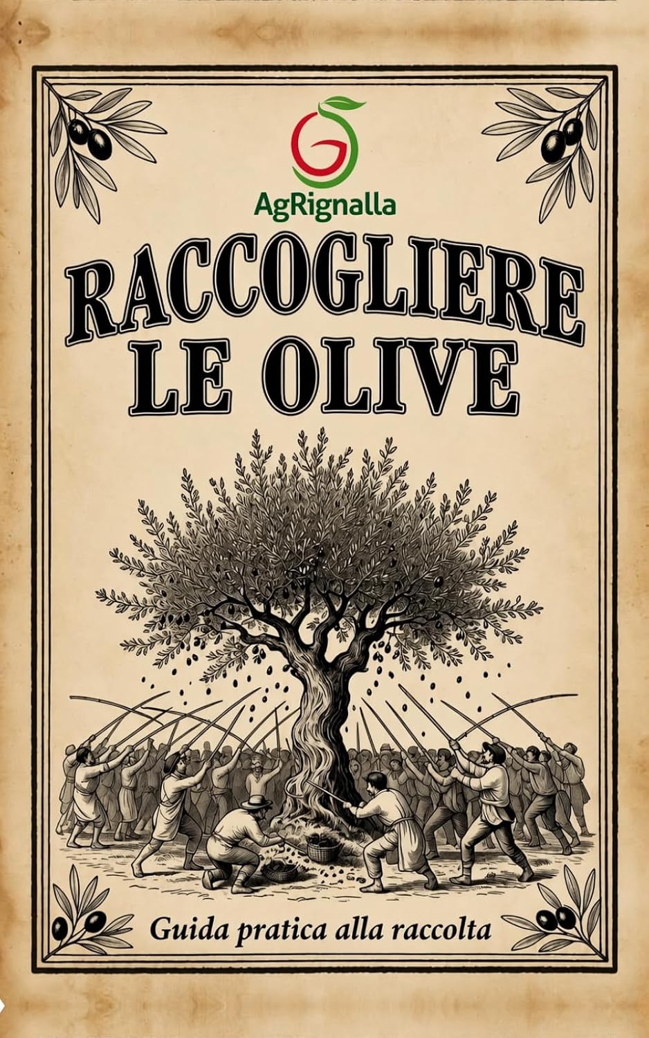 Raccogliere le olive: Guida pratica alla raccolta (Italian Edition) baixar o livro de graça
