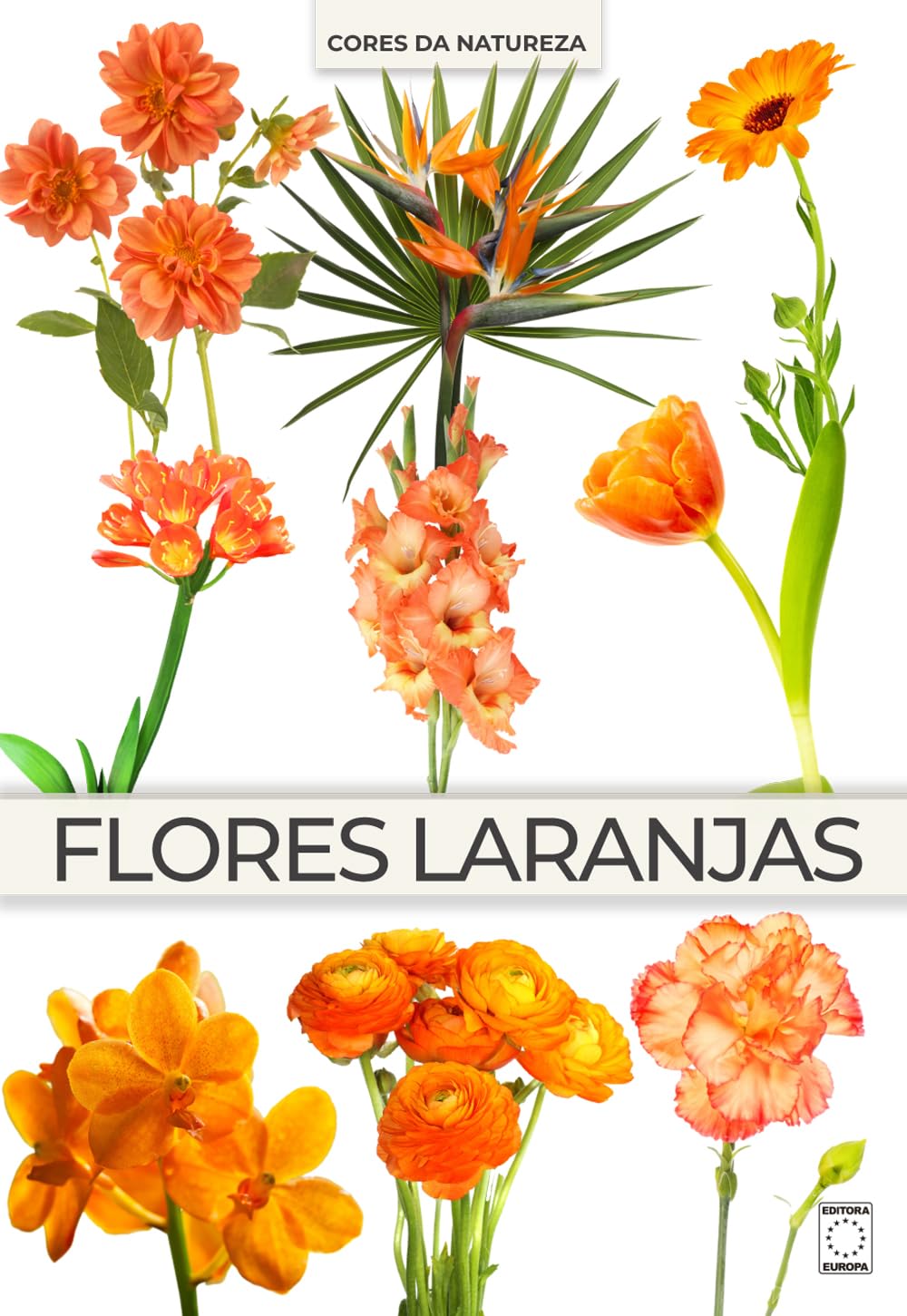 Coleção Cores da Natureza - Flores Laranjas