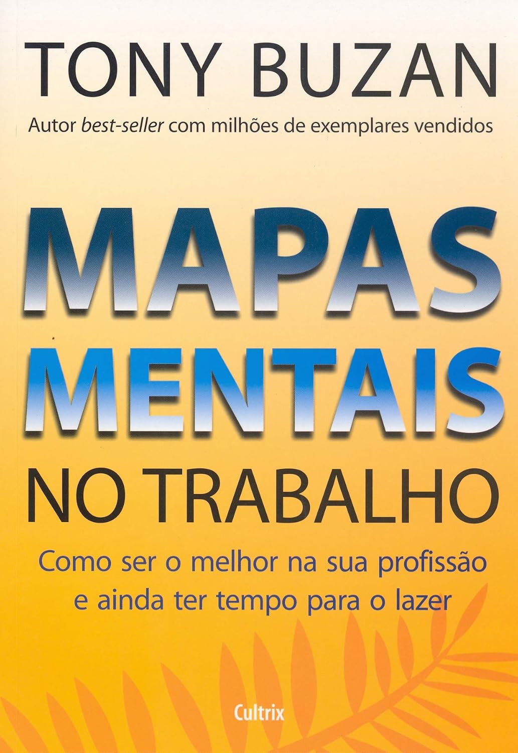 Mapas mentais no trabalho: como ser o melhor na sua profissão e ainda ter tempo para o lazer baixar o livro de graça