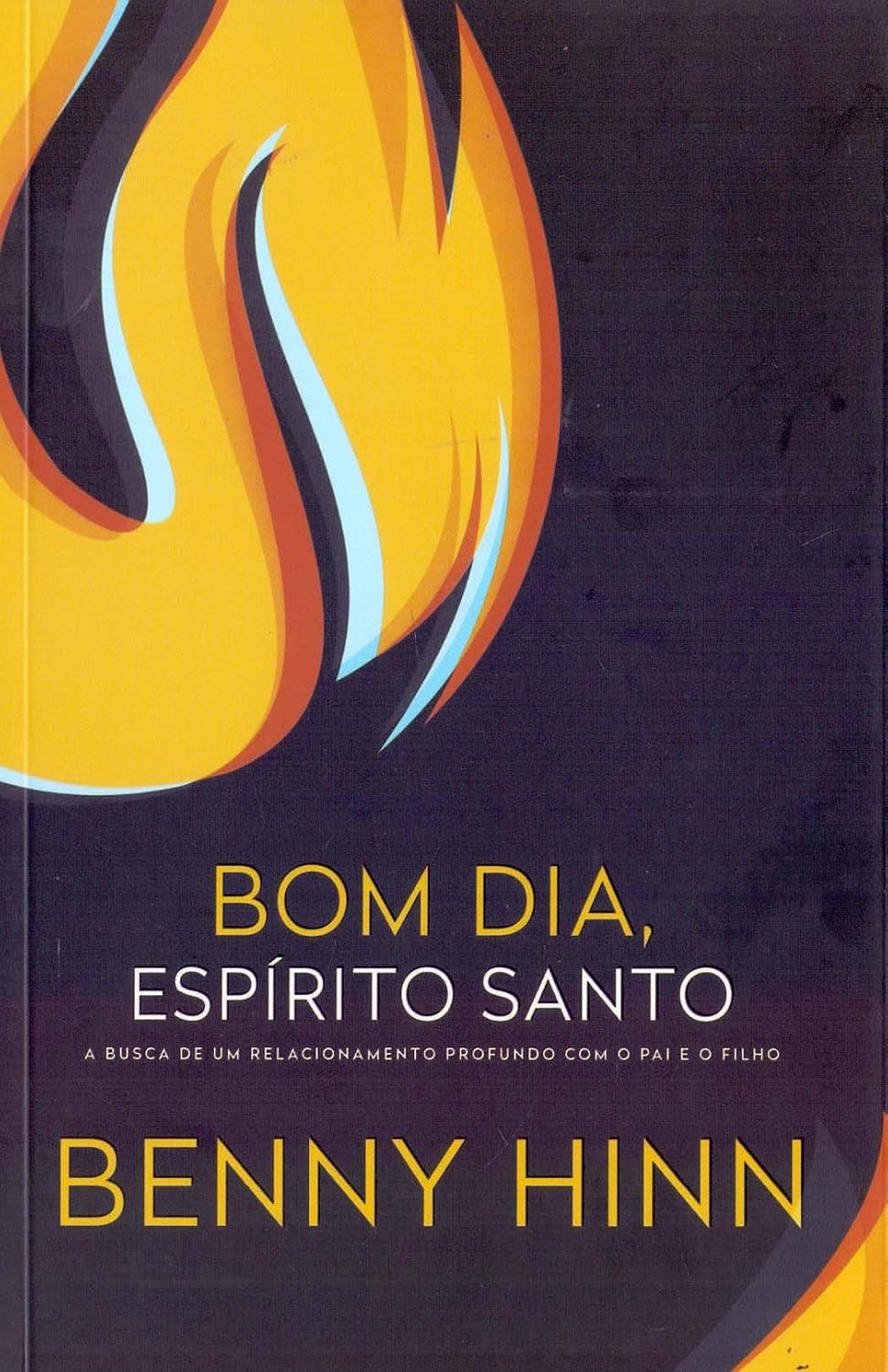 capítulo por capítulo baixar Bom dia, Espírito Santo: A busca de um relacionamento profundo com o pai e o filho