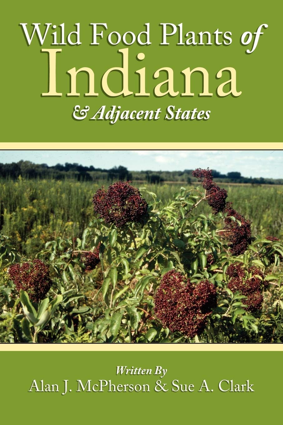 Wild Food Plants of Indiana and Adjacent States baixar livro de graça