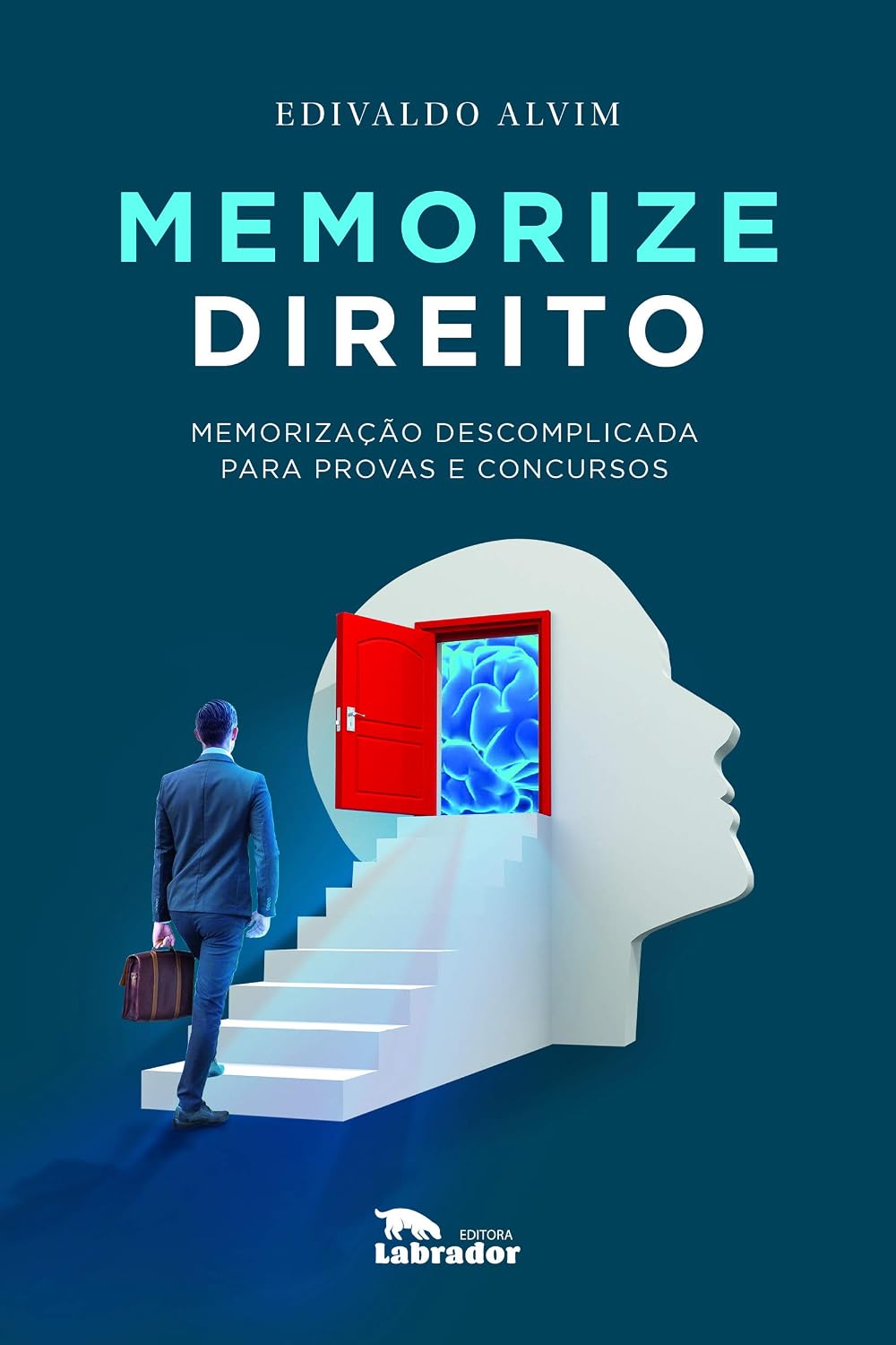 Memorize direito: Memorização descomplicada para provas e concursos baixar o livro de graça