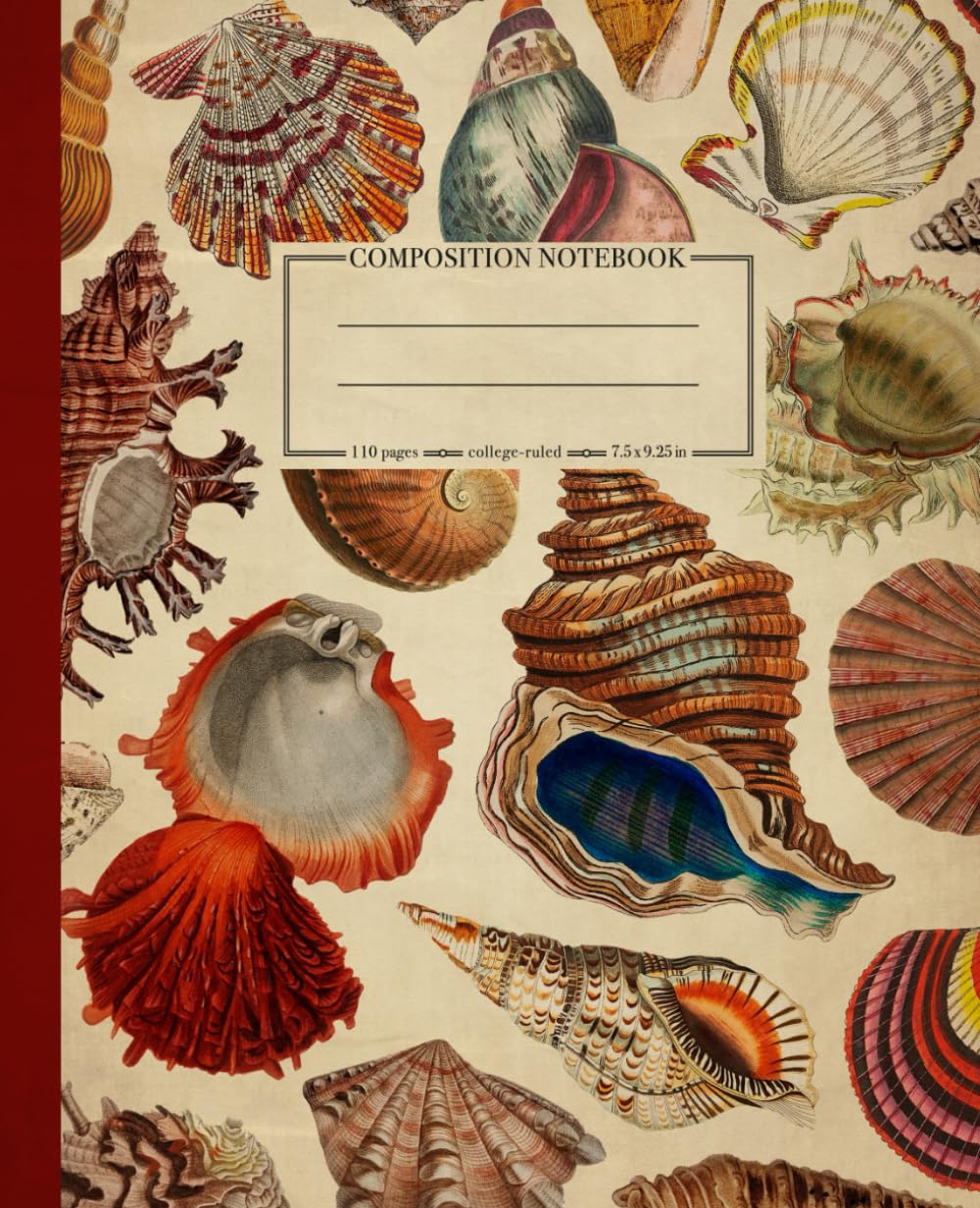 Composition Notebook College Ruled: Seashells Vintage Marine Illustration | Cute Sea Life Aesthetic Journal for School, College, Office, and Work baixar o livro de graça