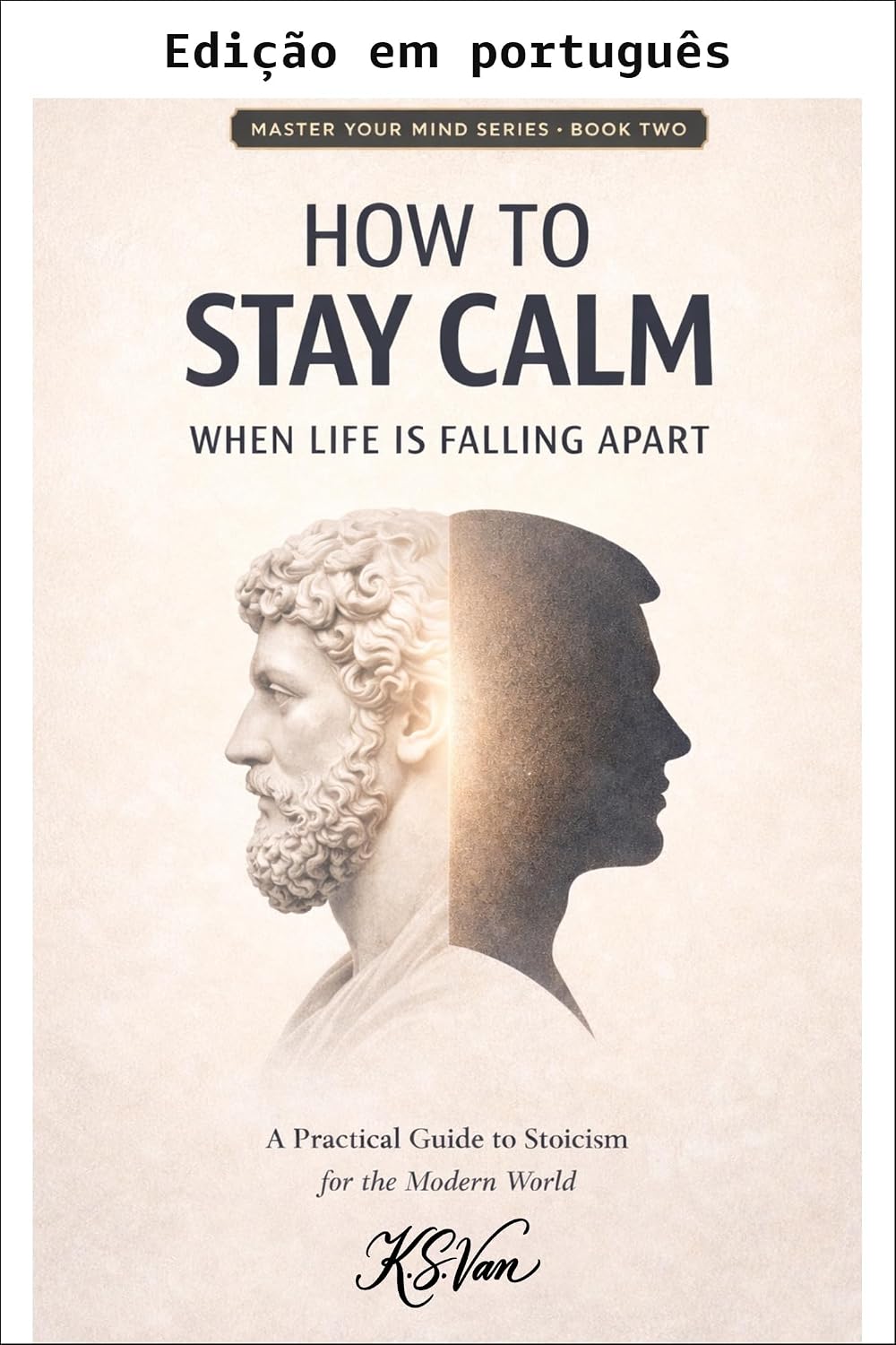 Como manter a calma quando tudo está desmoronando (Série Domine sua mente Livro 2) baixar livro de graça