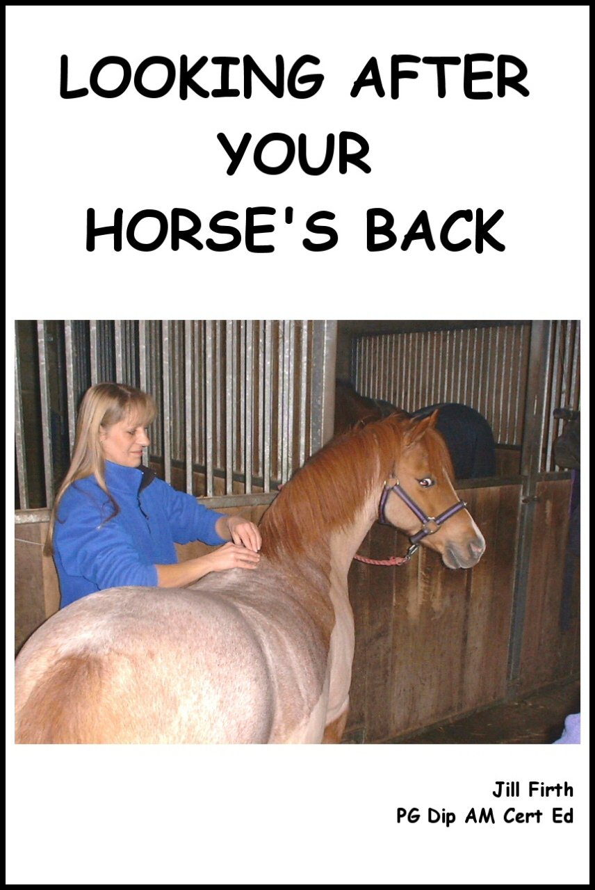 Looking After Your Horse's Back (English Edition) baixar livro de graça