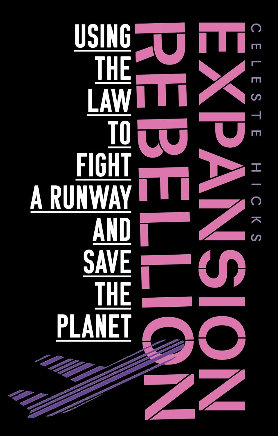 Expansion rebellion: Using the law to fight a runway and save the planet (English Edition) baixar o livro de graça