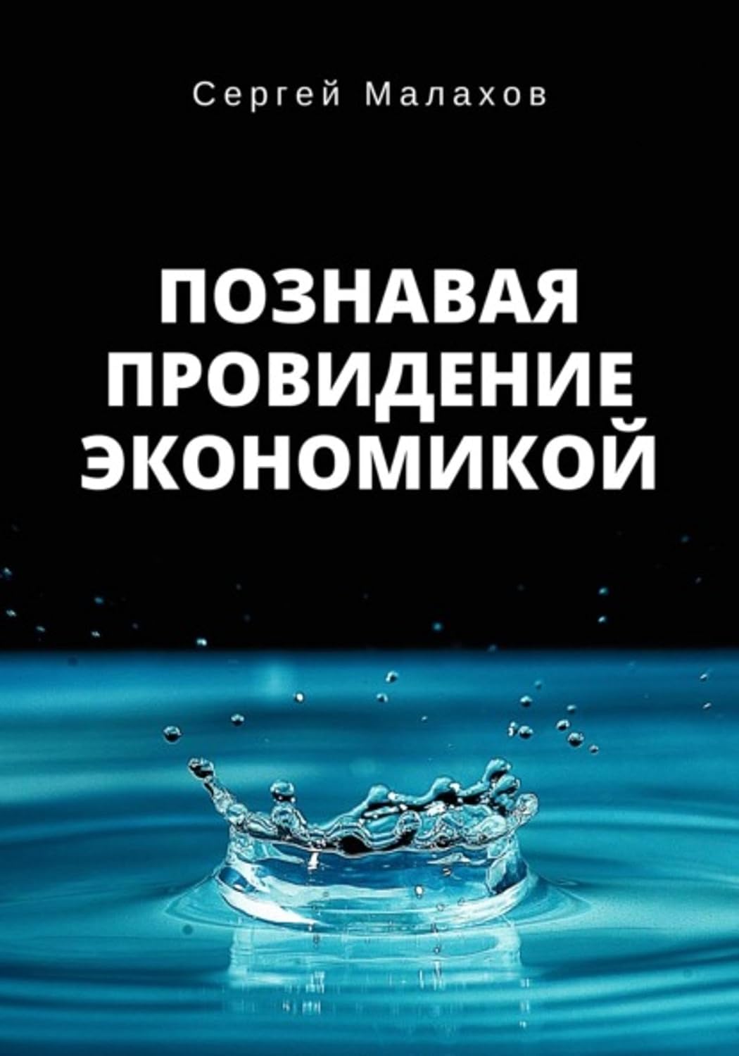 Познавая Провидение Экономикой (Russian Edition) baixar livro de graça
