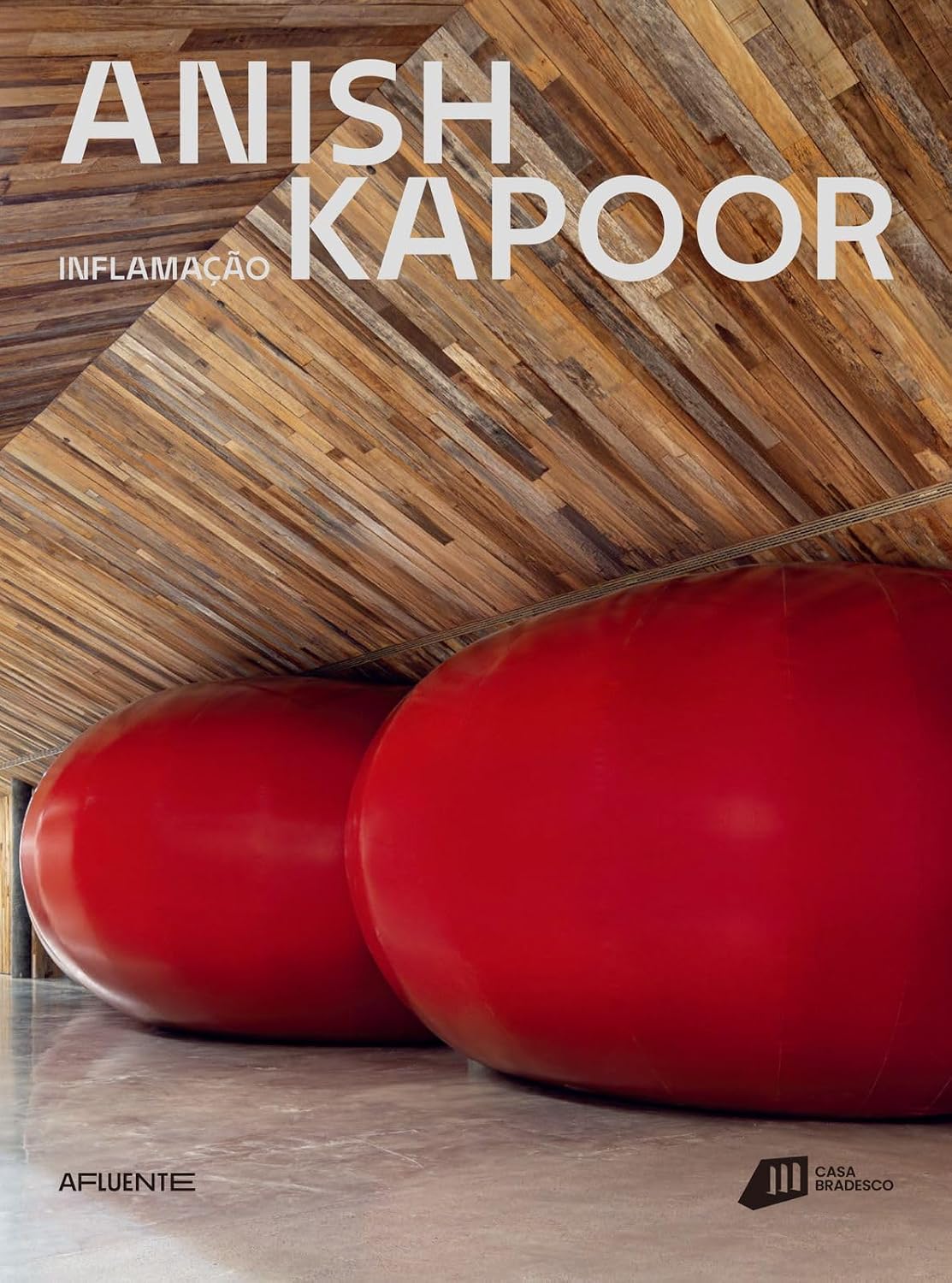 capítulo por capítulo baixar ANISH KAPOOR
