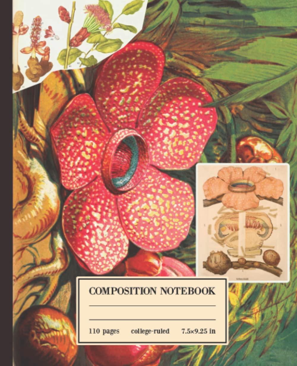 Composition Notebook College Ruled: Rafflesia Arnoldii Giant Padma Plant, Stinking Corpse lily Flower, Bunga Rafflesia Journal For Back To School, Office, Work | Wide Lined baixar livro de graça
