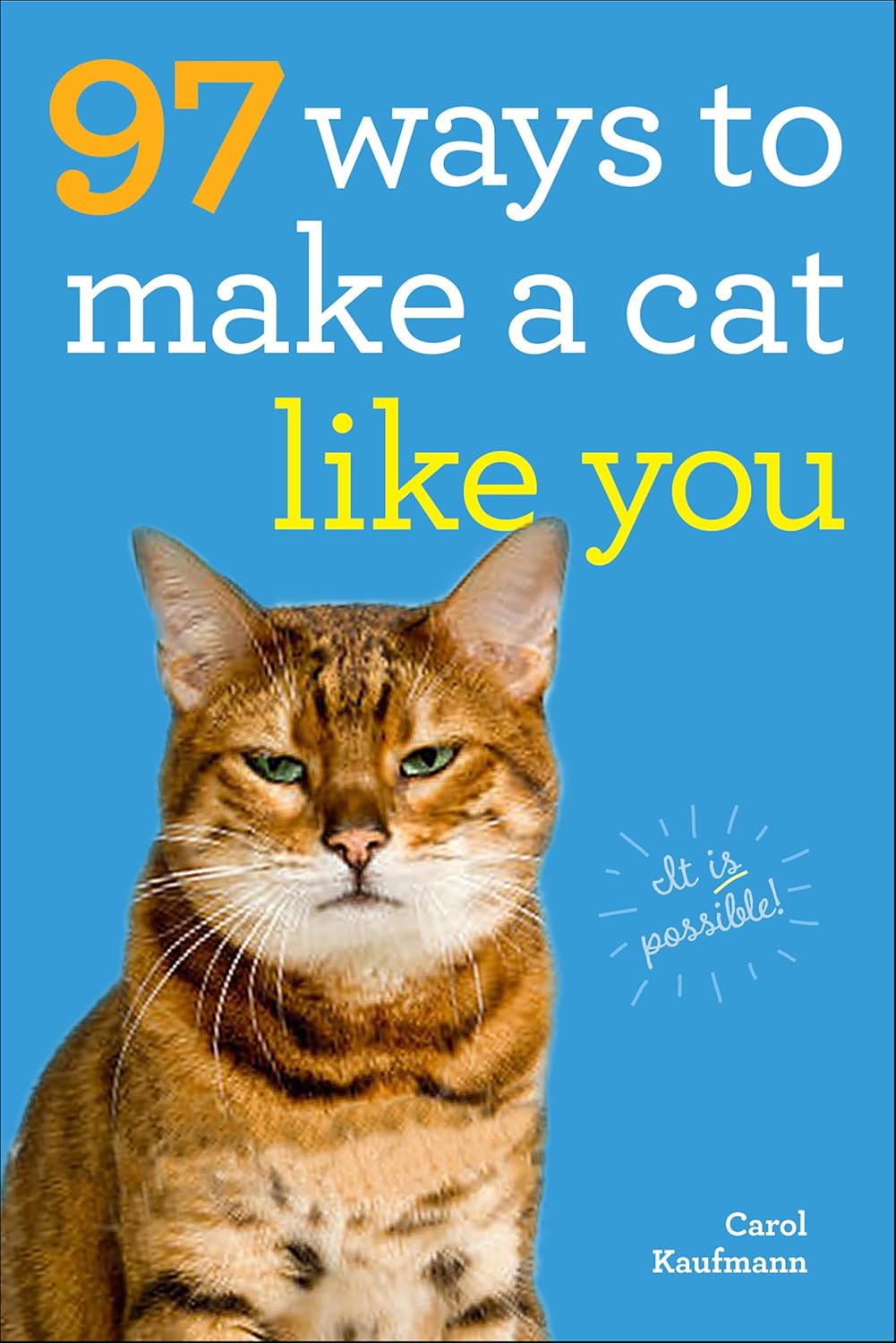 capítulo por capítulo baixar 97 Ways to Make a Cat Like You (English Edition)