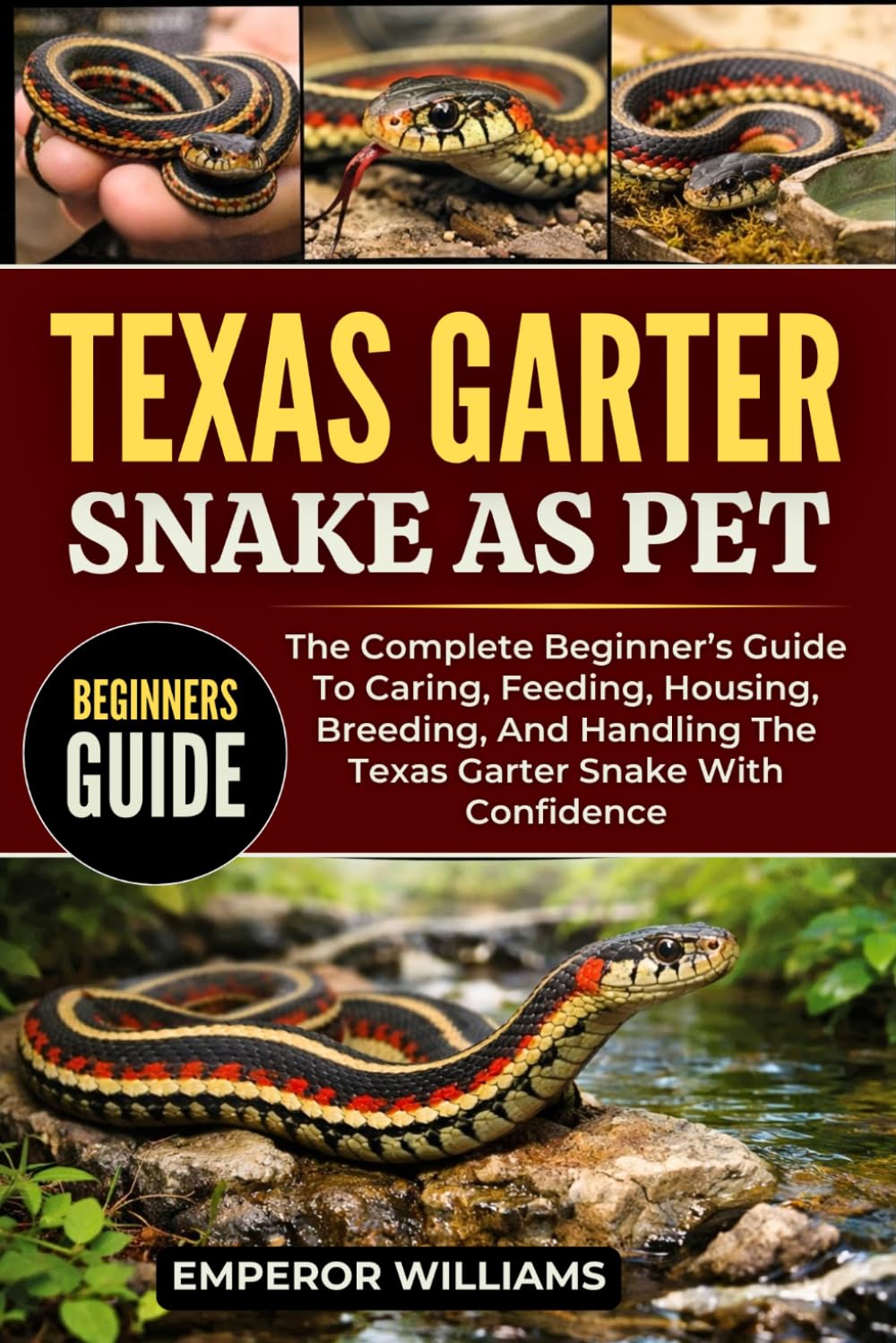 Texas Garter Snake as Pet: The Complete Beginner's Guide To Caring, Feeding, Housing, Breeding, And Handling The Texas Garter Snake With Confidence baixar livro de graça