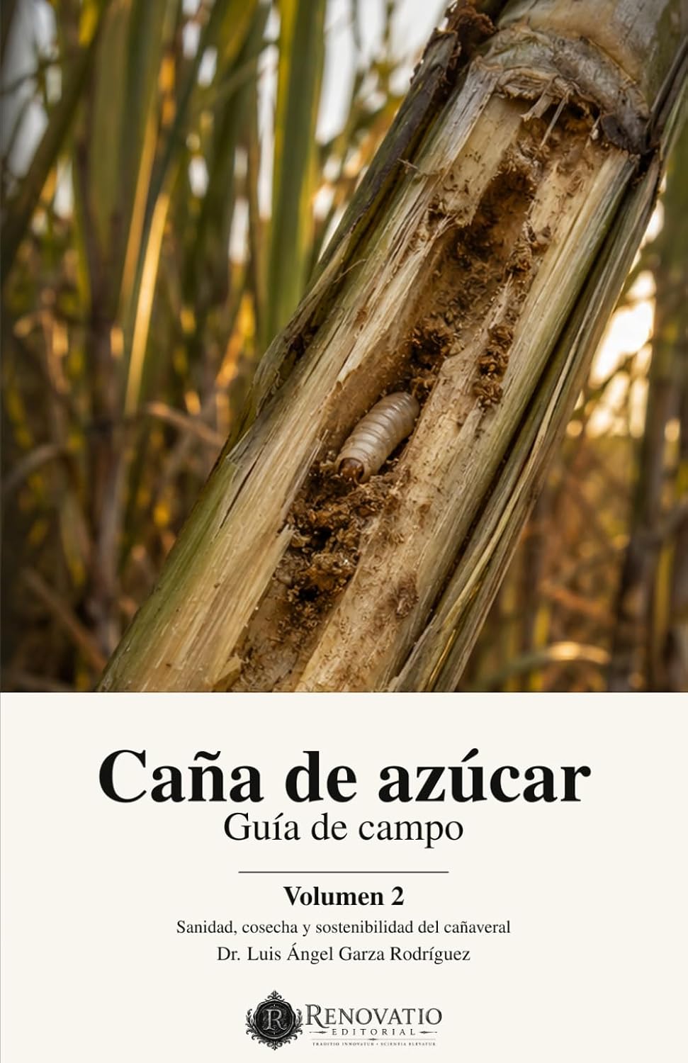 Caña de azúcar: Guía de campo, Volumen 2: Sanidad, cosecha y sostenibilidad del cañaveral (Spanish Edition) baixar o livro de graça