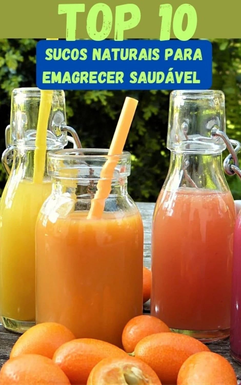 Top 10 Sucos naturais Para Emagrecer De Forma Saudável: Receitas e Benefícios de Cada fruta para a Saúde baixar livro de graça