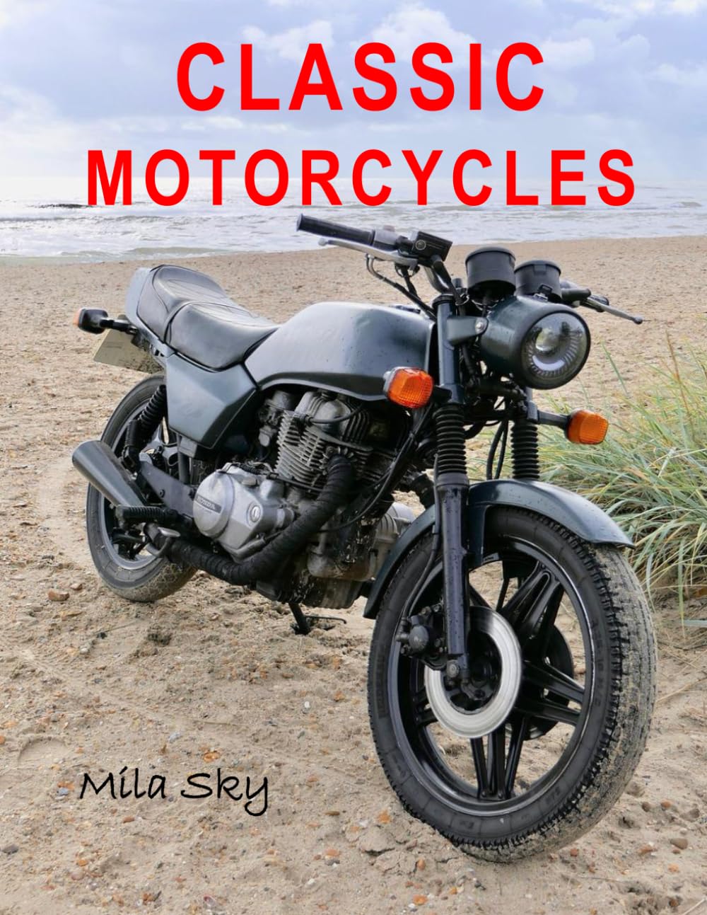 ler totalmente Classic Motorcycles: A Stunning Visual Collection