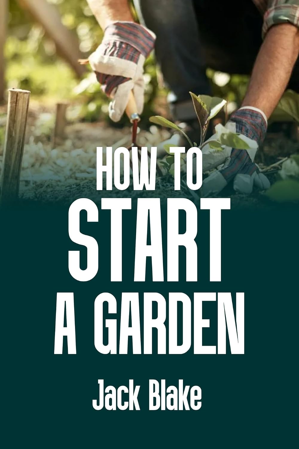 How to start a garden (English Edition) baixar livro de graça