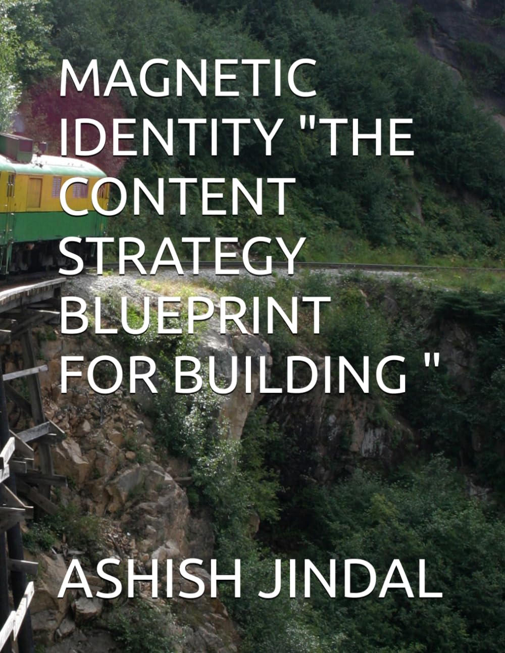 ler totalmente MAGNETIC IDENTITY "THE CONTENT STRATEGY BLUEPRINT FOR BUILDING "