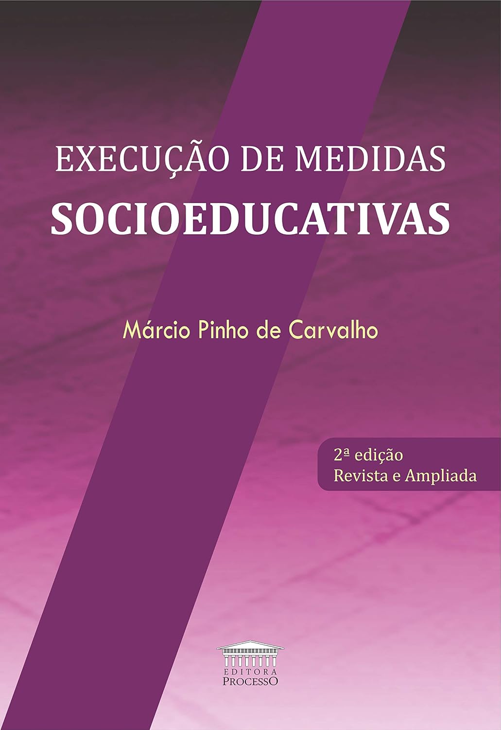 ler totalmente Execução de Medidas Socioeducativas