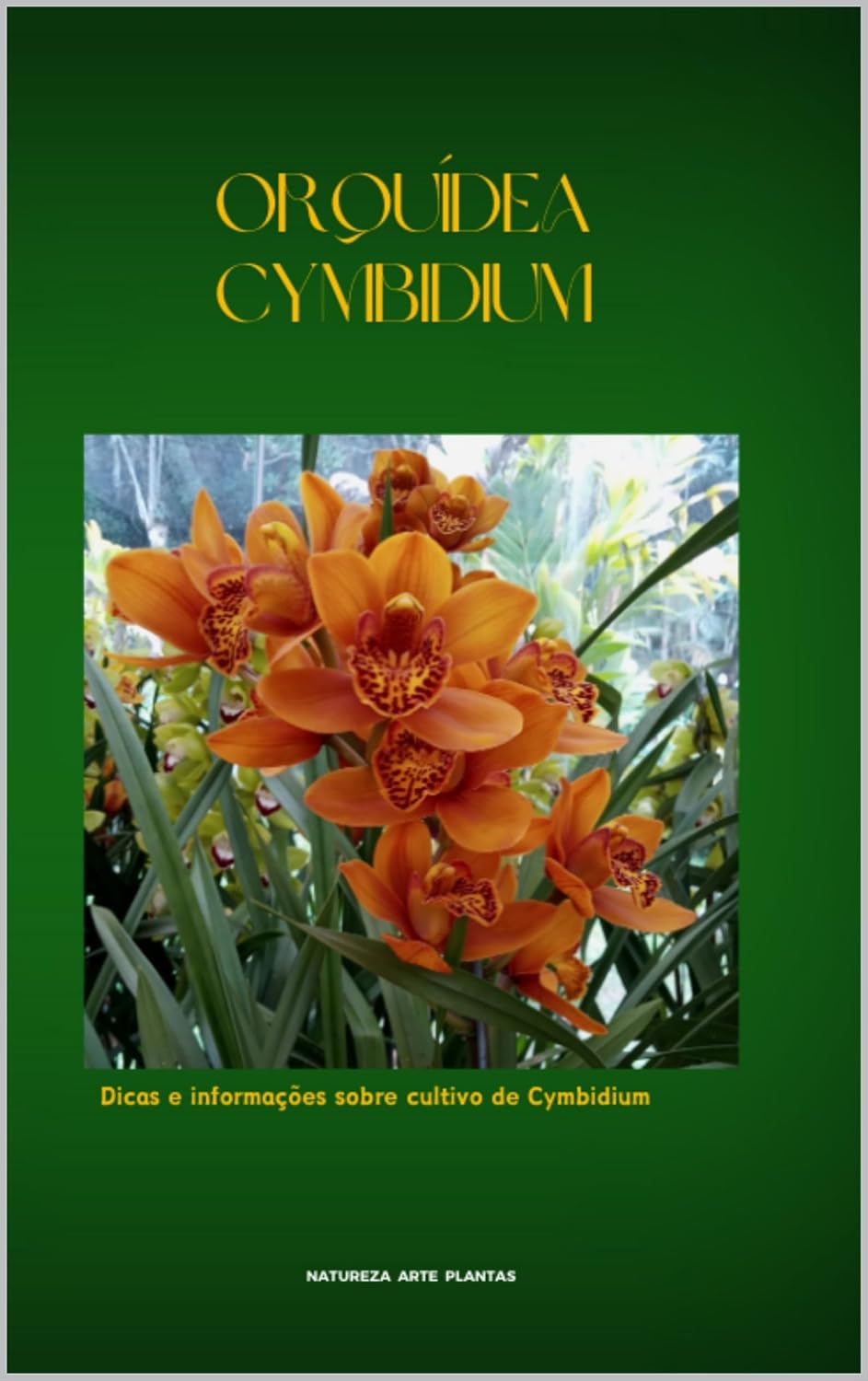 ler totalmente Orquídea Cymbidium
