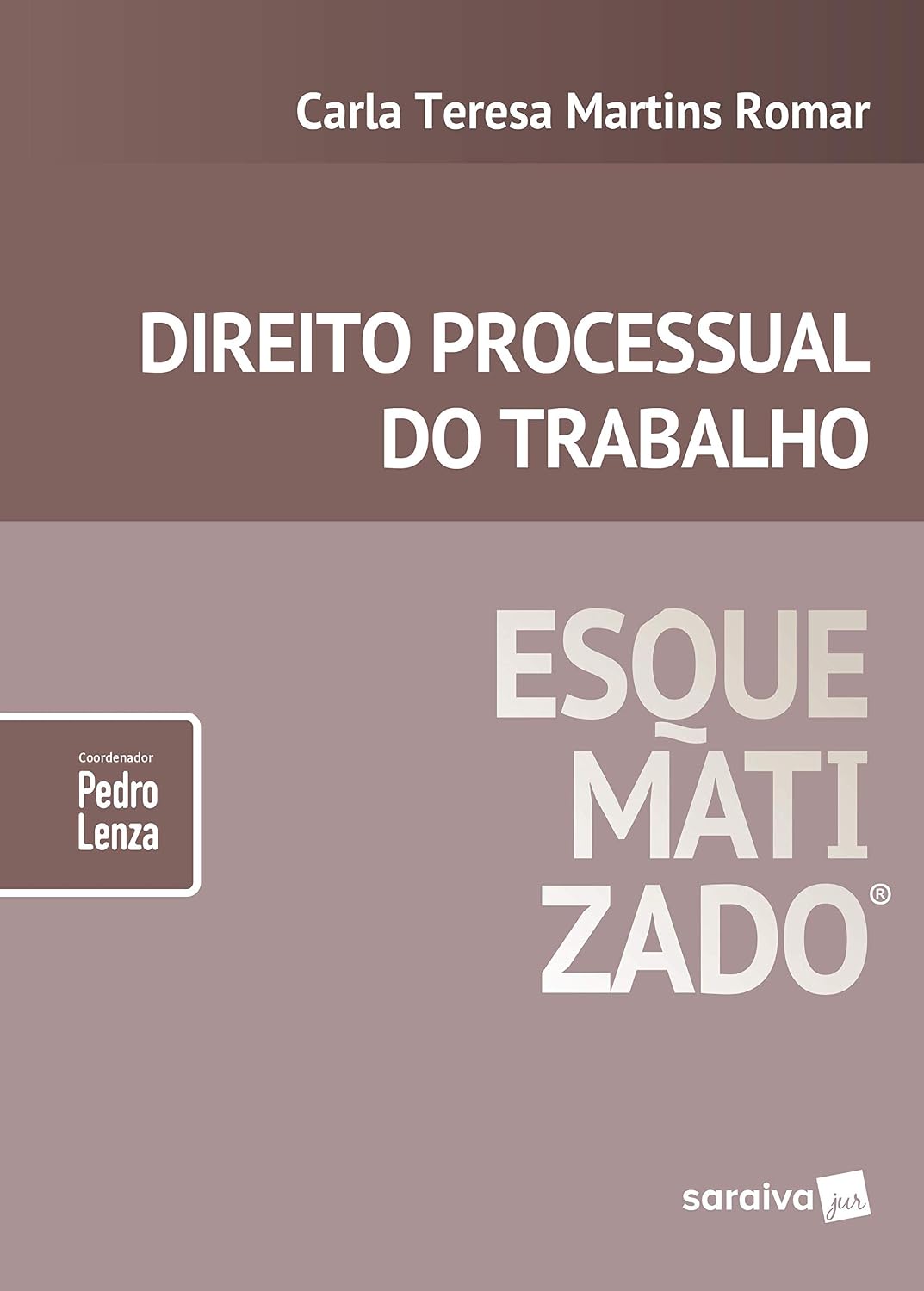 Direito processual do trabalho esquematizado® - 1ª edição de 2019 baixar livro de graça