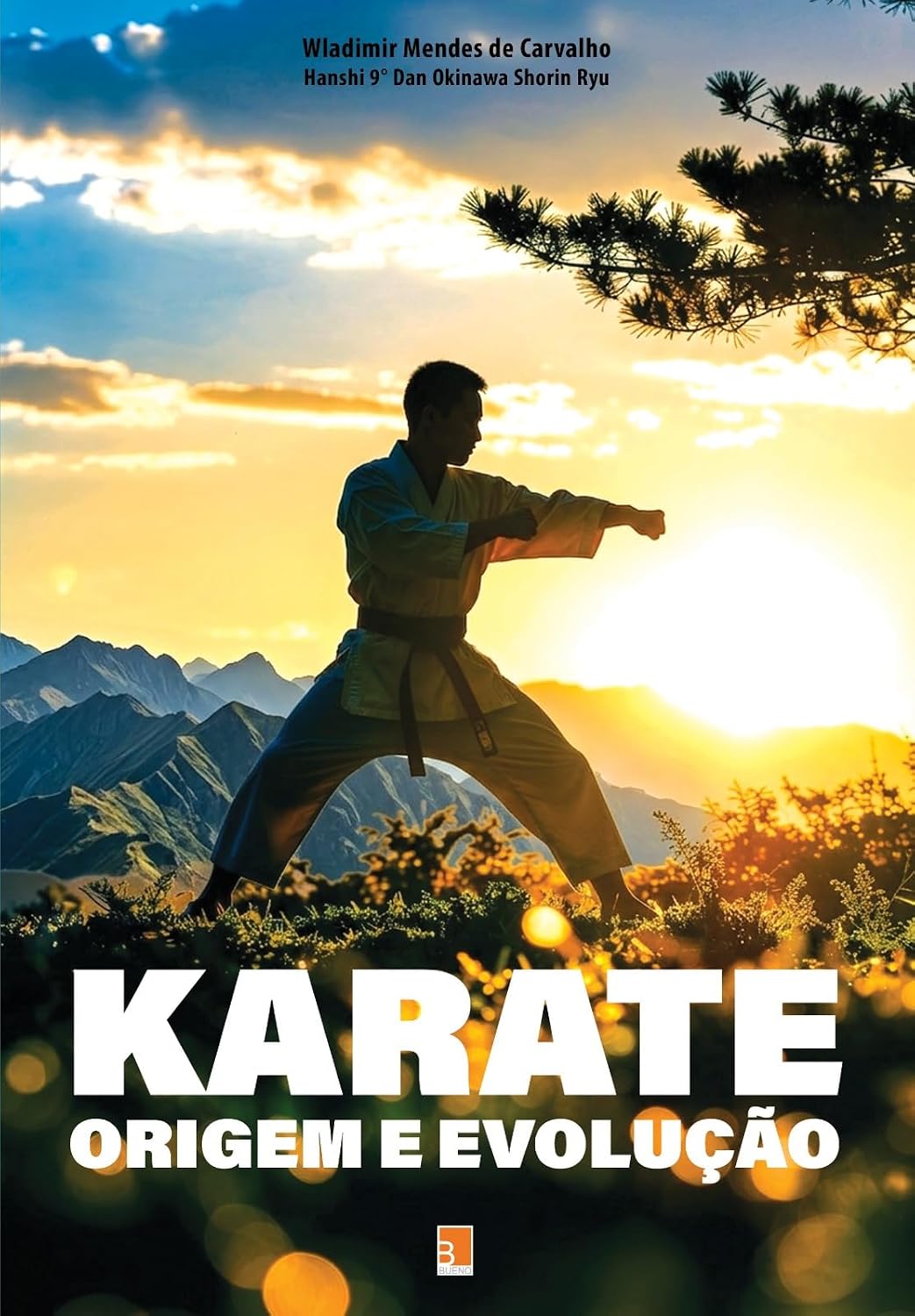 capítulo por capítulo baixar Karate: Origem e Evolução