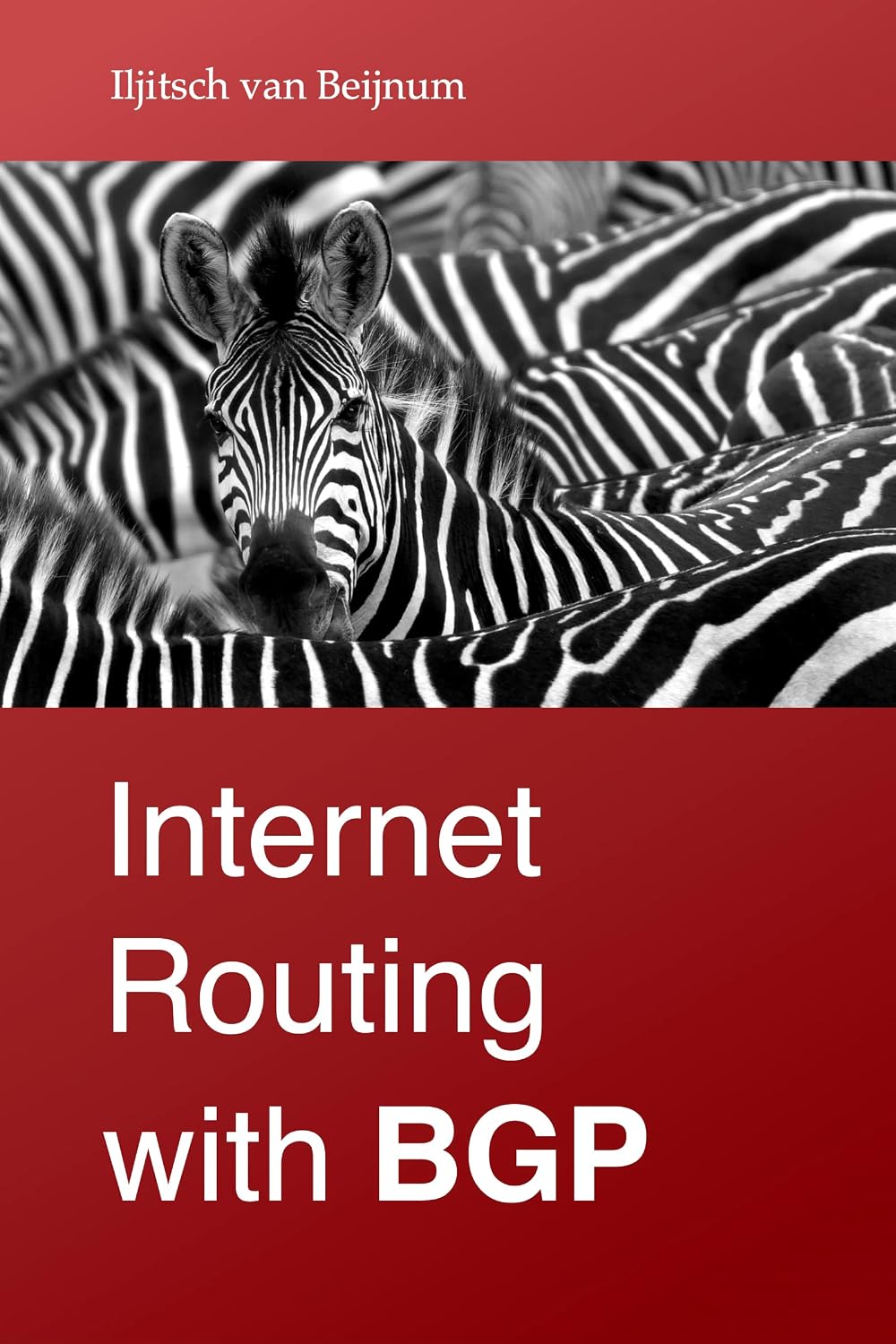 ler totalmente Internet Routing with BGP (English Edition)