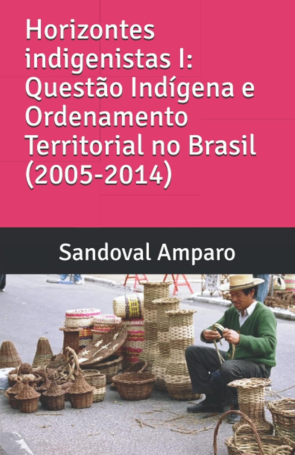 ler totalmente Horizontes Indigenistas I: Questão Indígena e Ordenamento Territorial no Brasil (2007-2014)