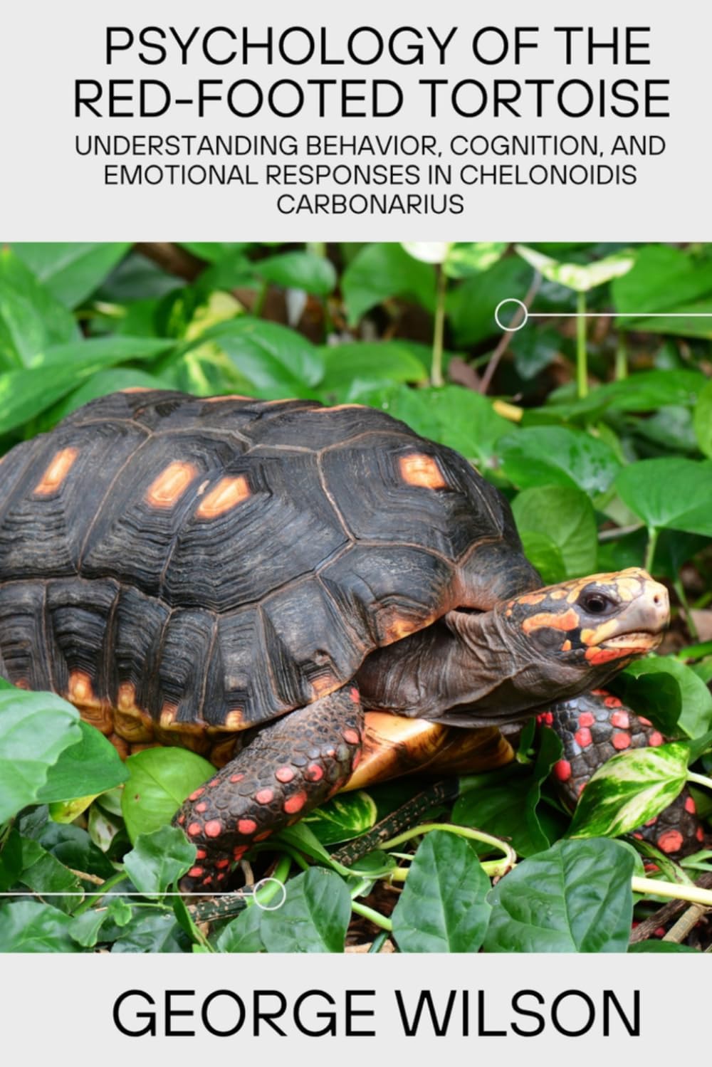 capítulo por capítulo baixar PSYCHOLOGY OF THE RED-FOOTED TORTOISE: Understanding the behavior, cognition, emotional, response in Chelonoidis carbonarius