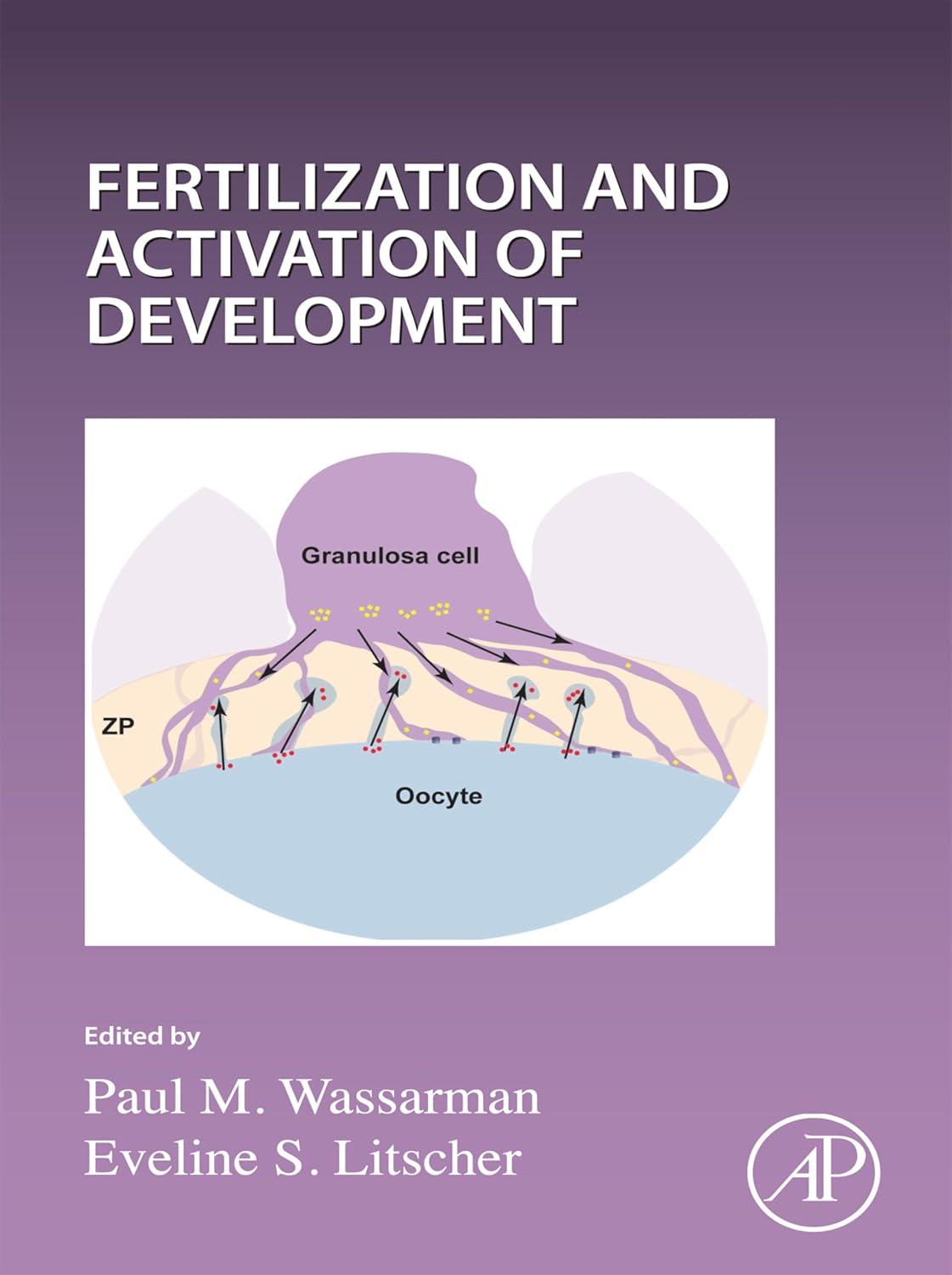Current Topics in Developmental Biology: Fertilization and Activation of Development (English Edition)