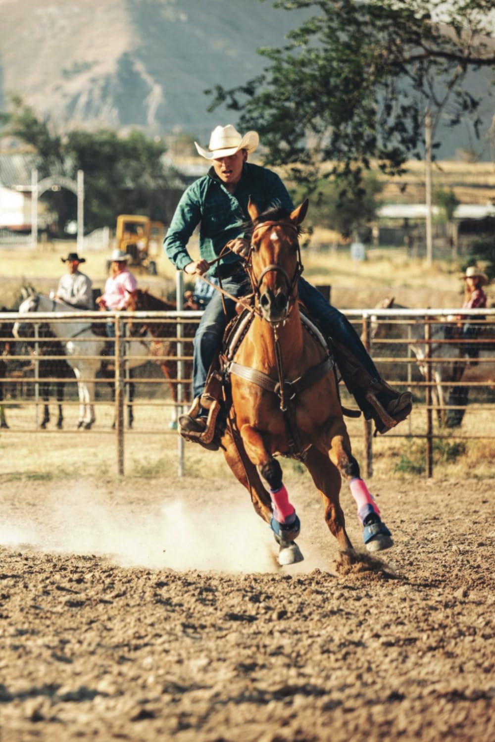 capítulo por capítulo baixar Rodeo Notebook: A Journal for Arena Adventures, Open Plains, and Cowboy Dreams