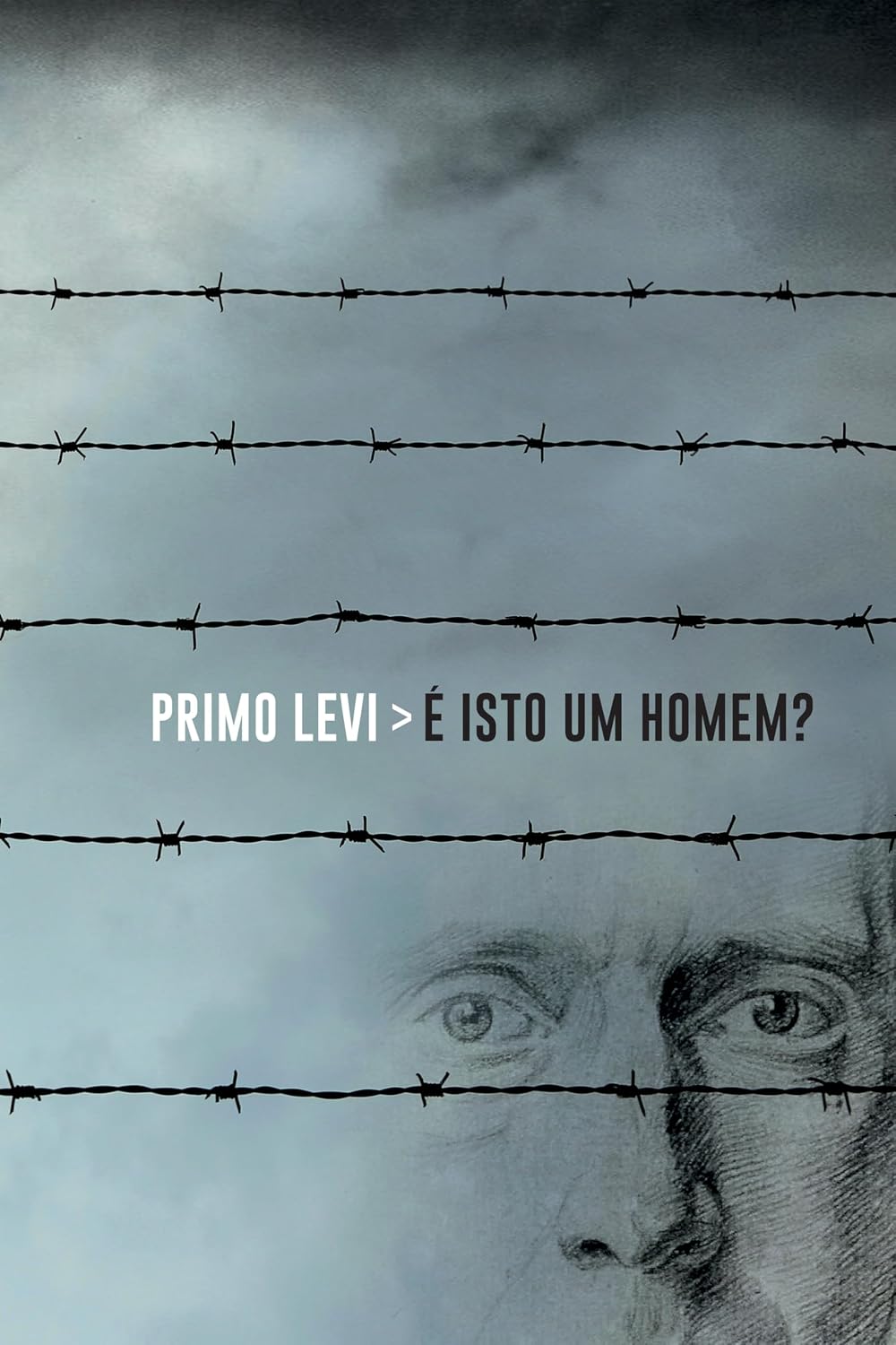 ler totalmente É isto um homem?