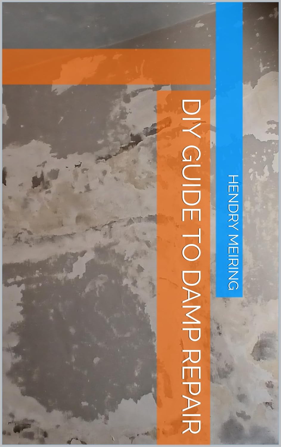 ler totalmente DIY Guide to DAMP repair (English Edition)