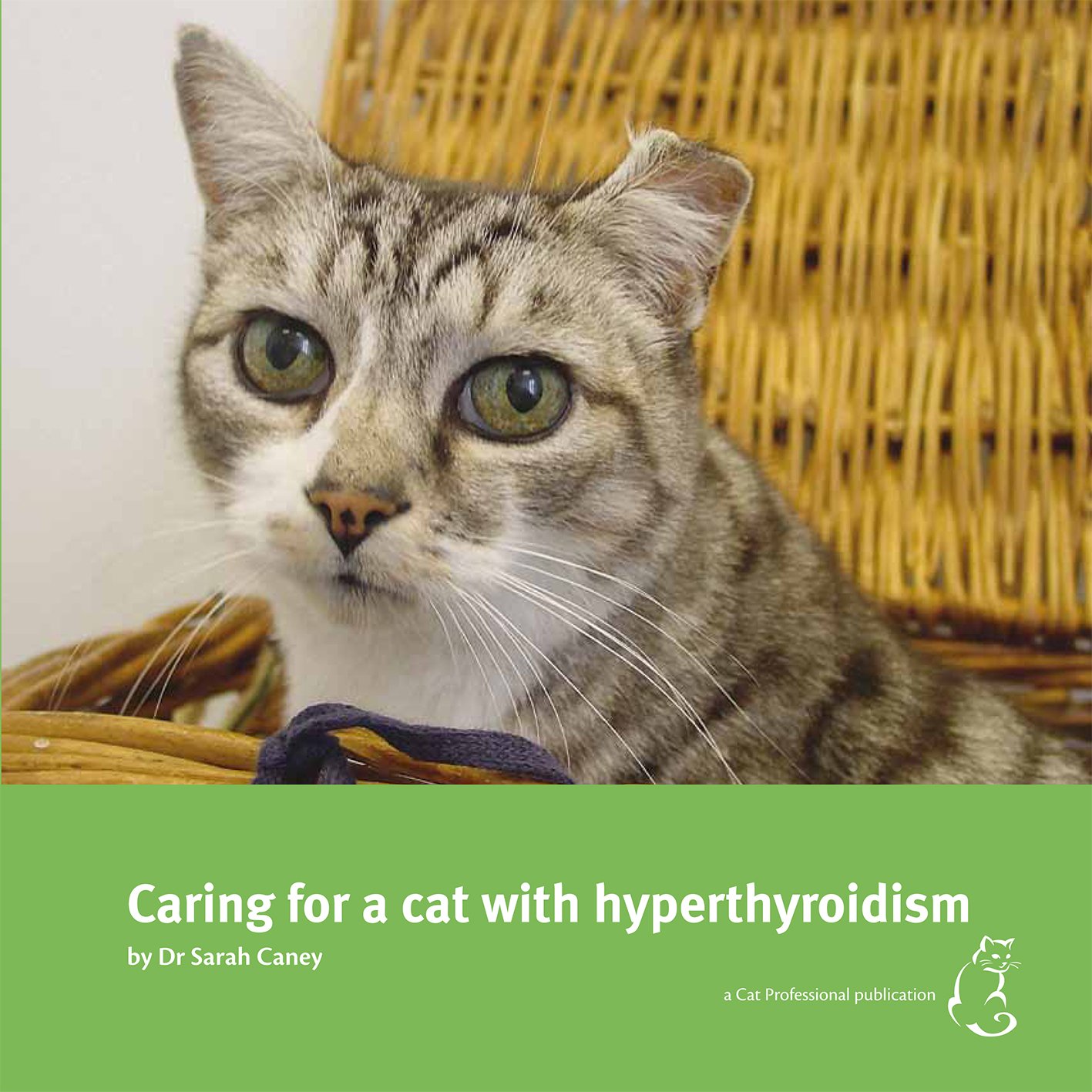 Caring for a Cat with Hyperthyroidism baixar livro de graça