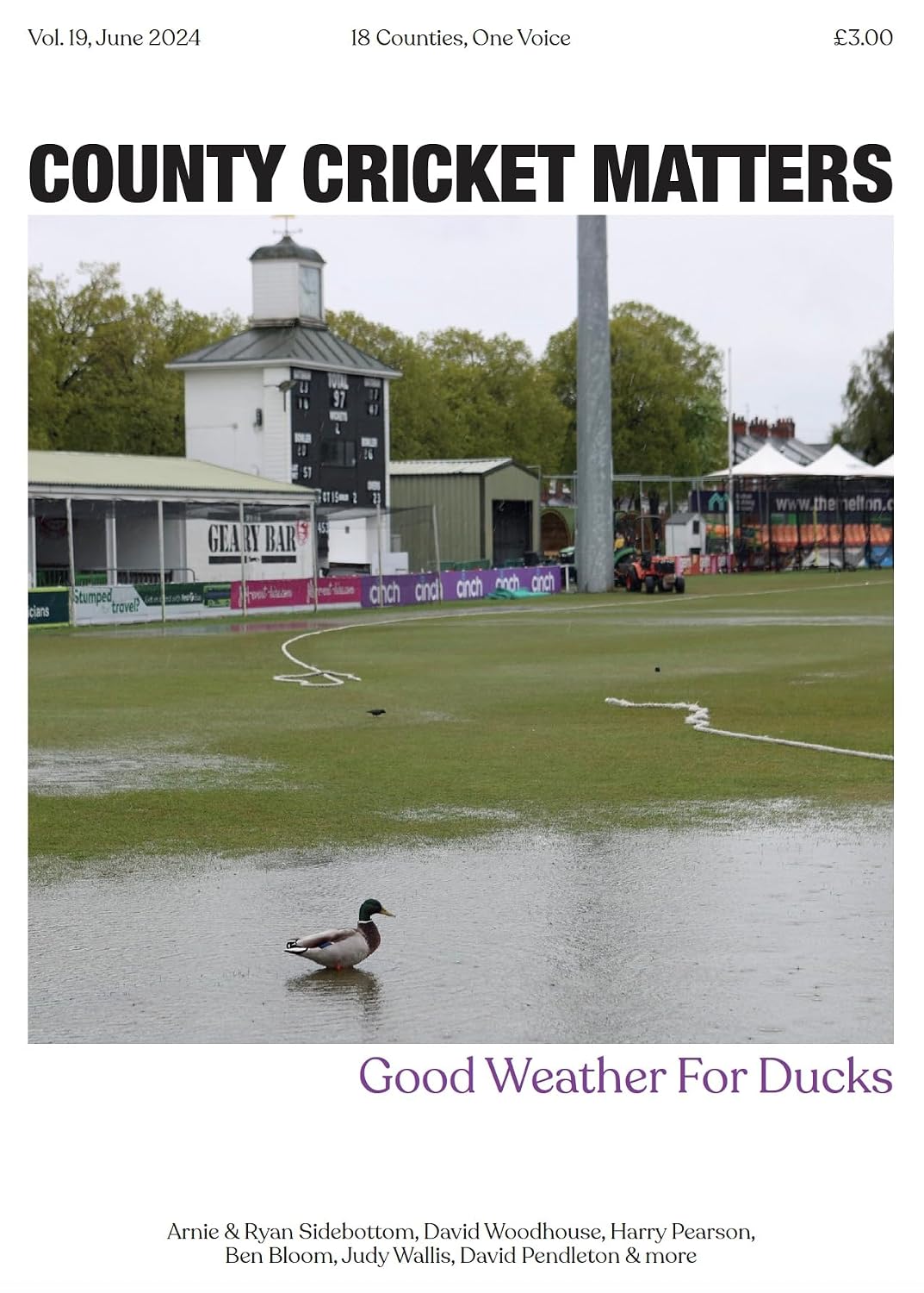 County Cricket Matters: Volume 19 (English Edition)